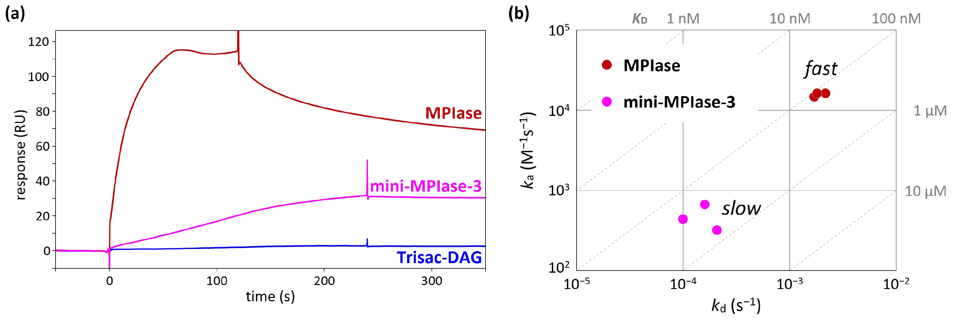 Membranes 14 00048 g009