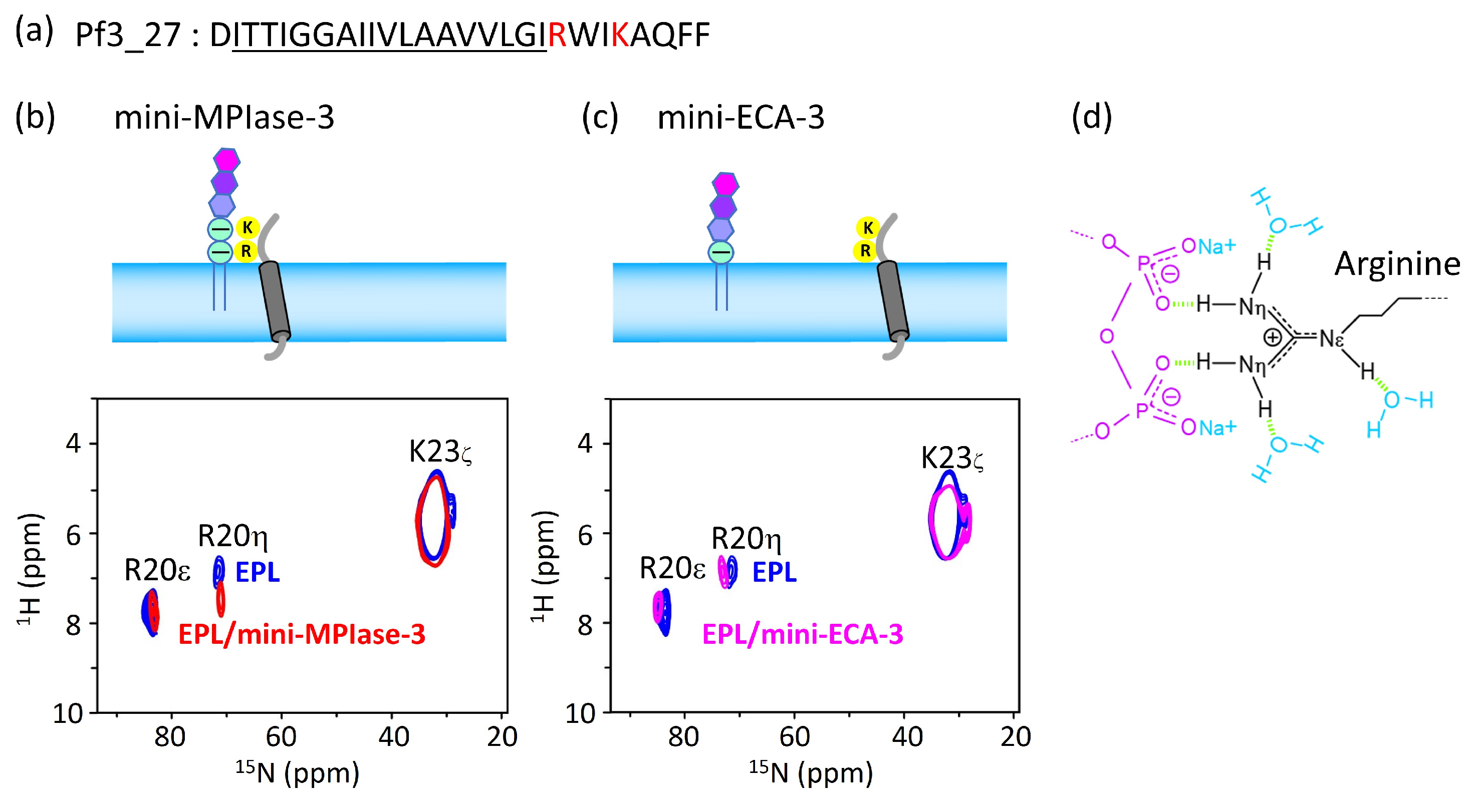 Membranes 14 00048 g010