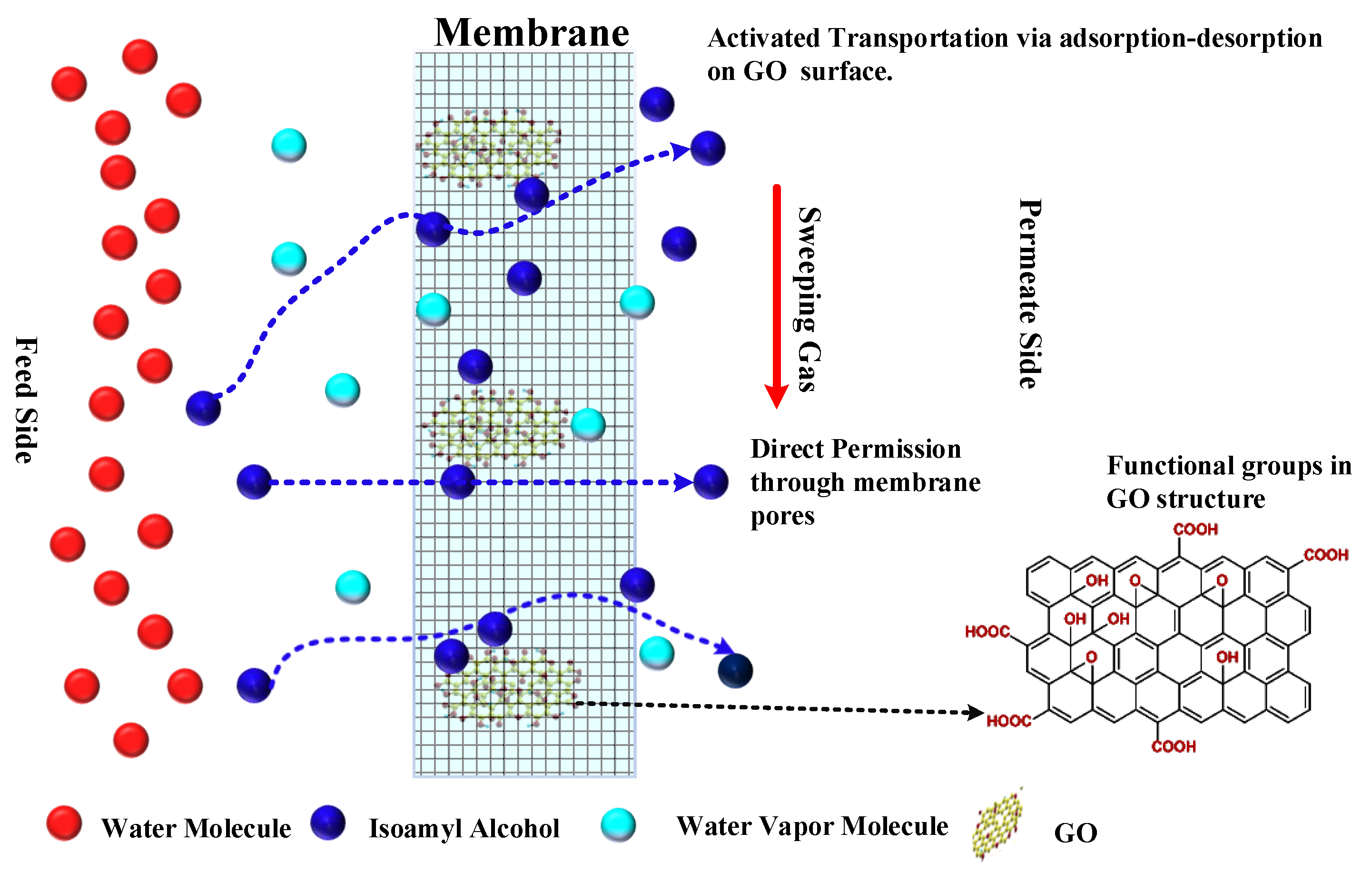 Membranes 14 00049 g010