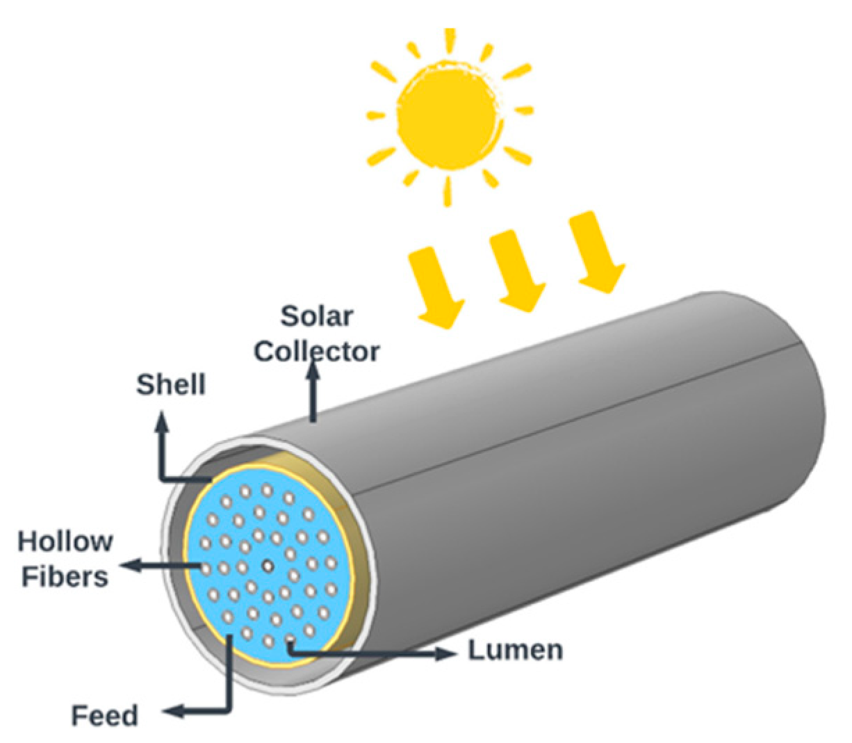 Membranes 14 00050 g001