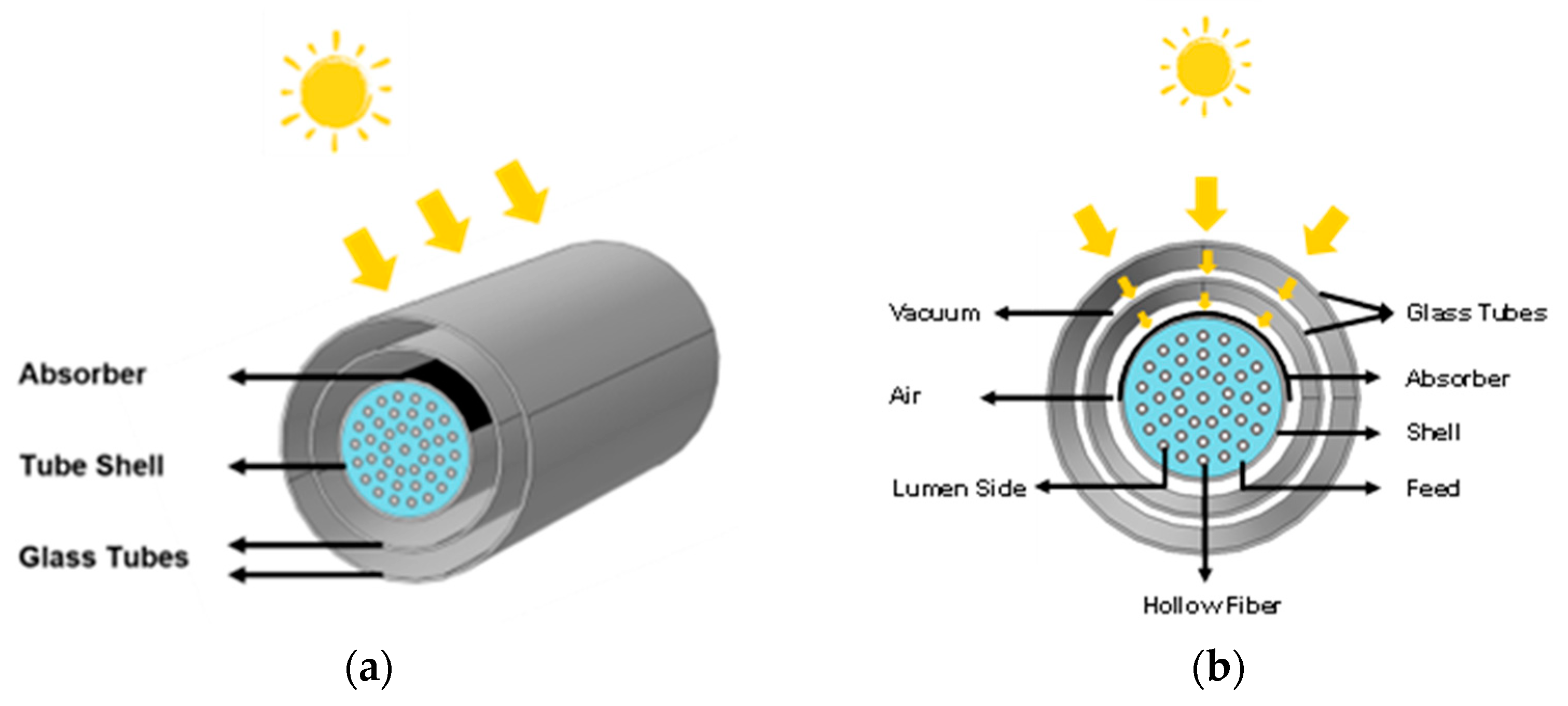 Membranes 14 00050 g002