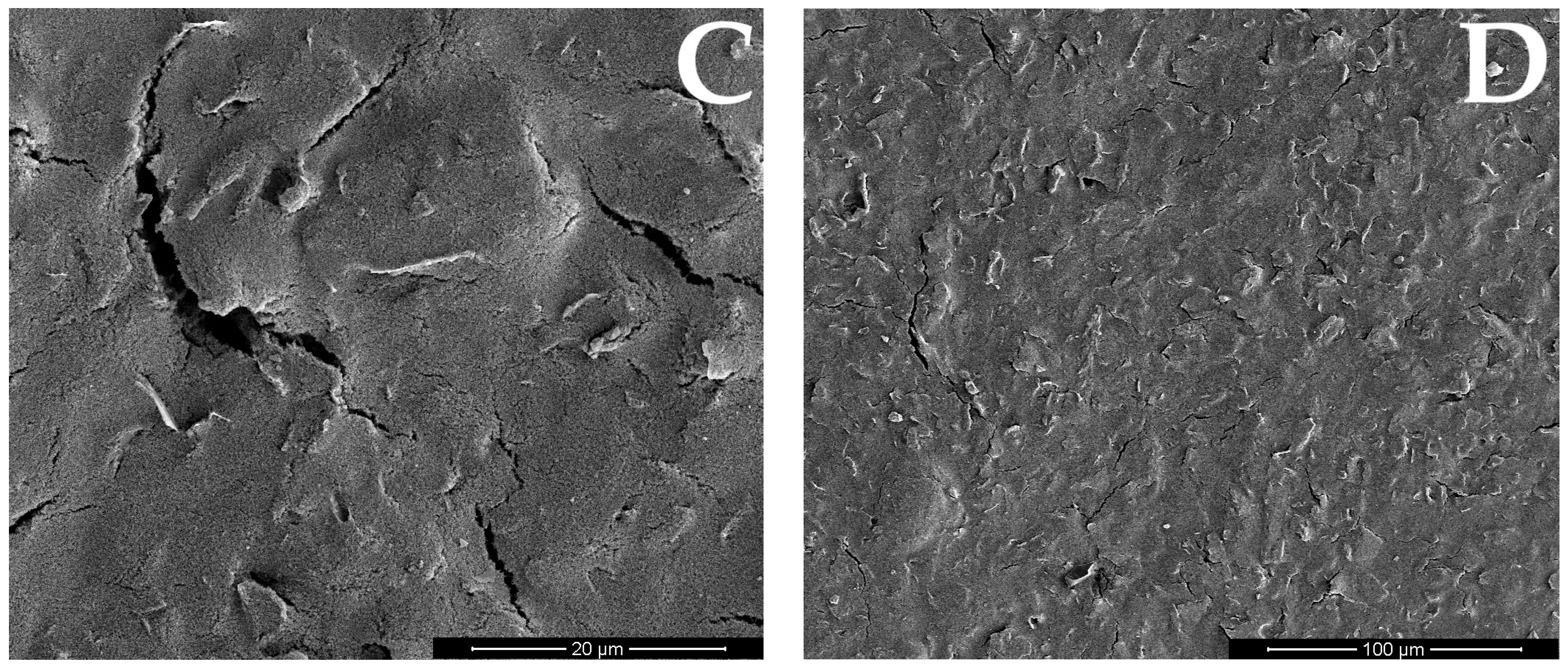 Membranes 14 00053 g003b