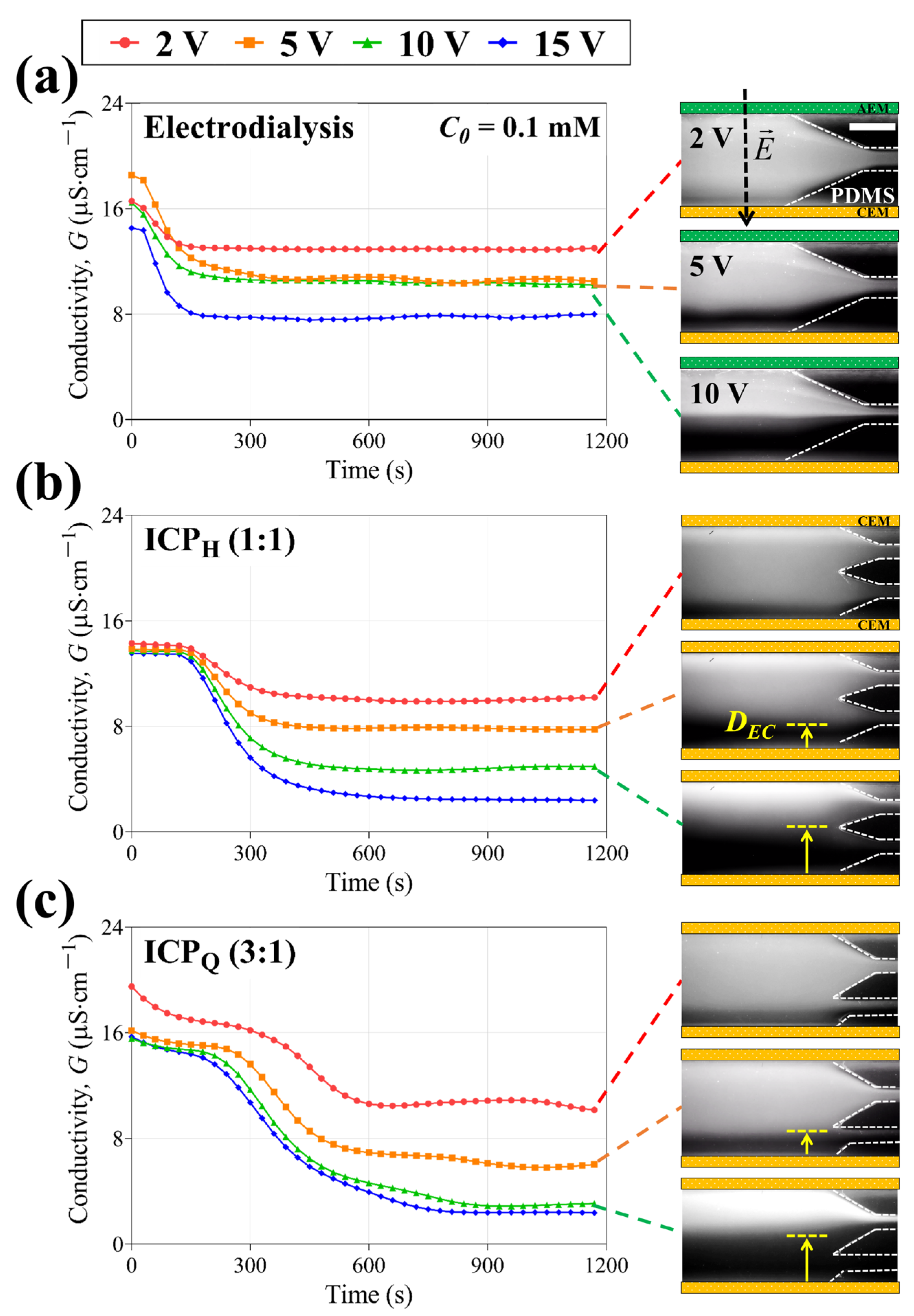 Membranes 14 00056 g005