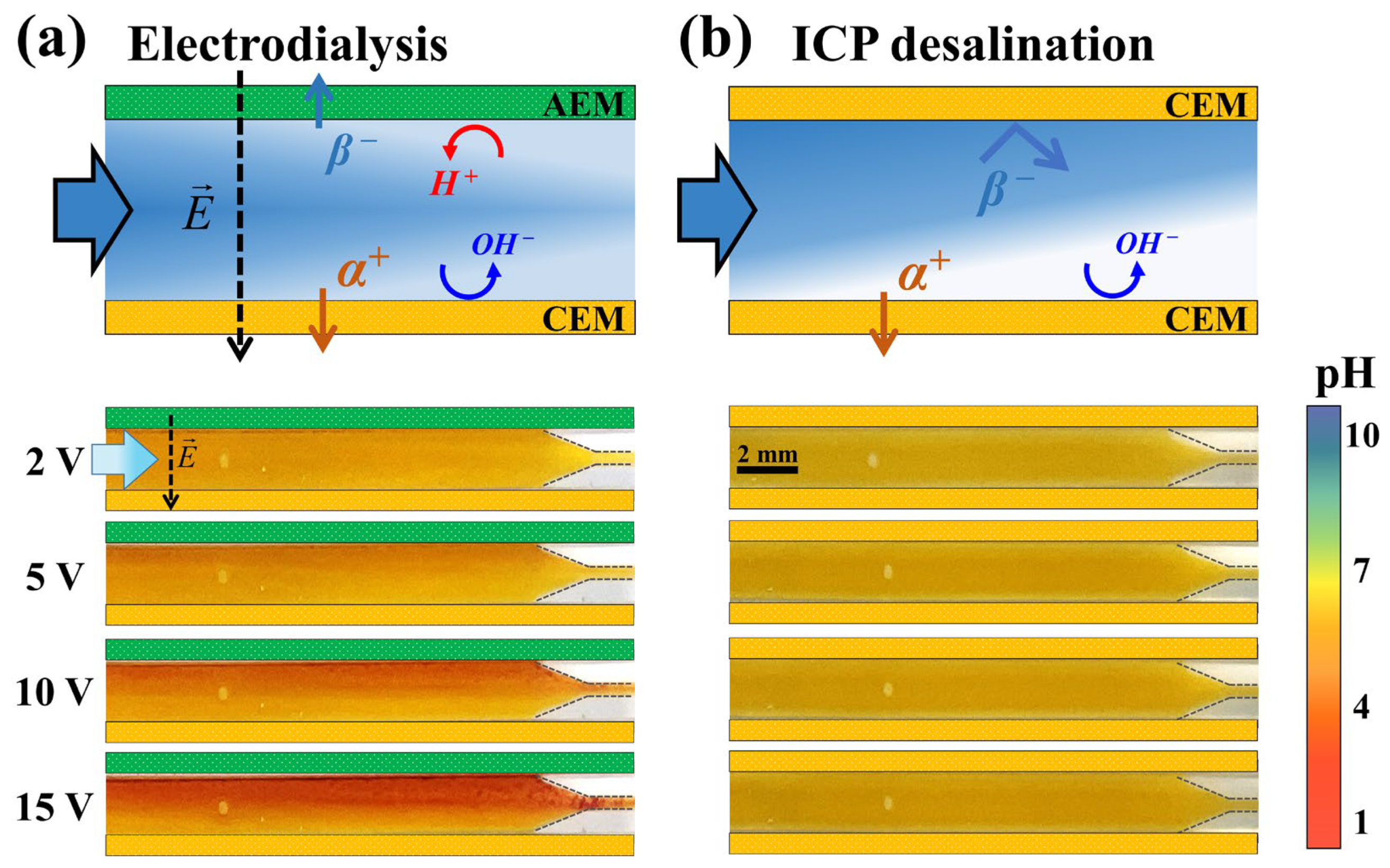 Membranes 14 00056 g008