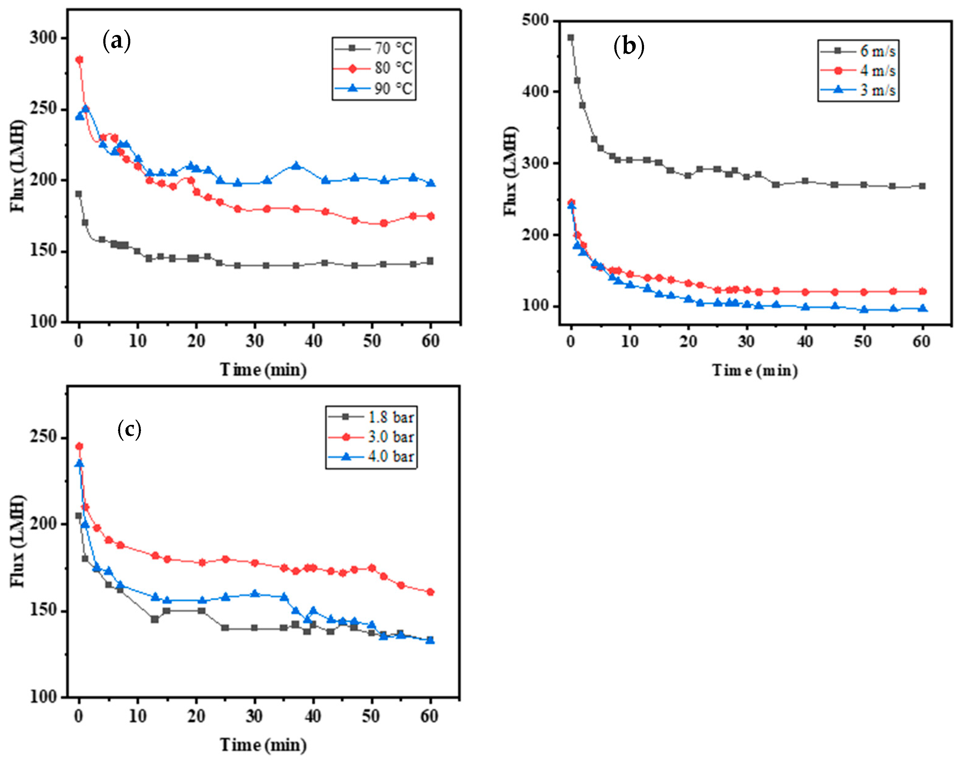 Membranes 14 00057 g002