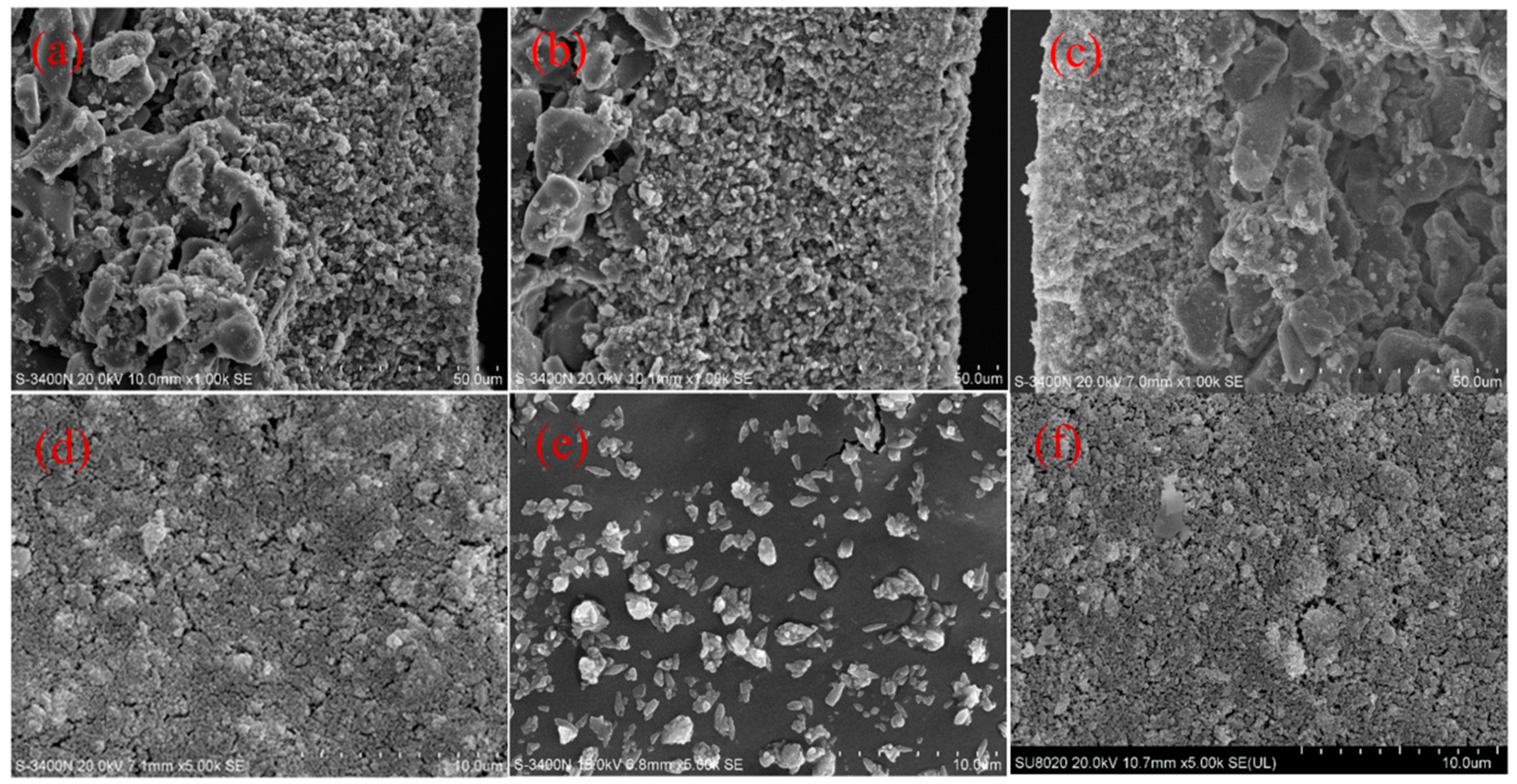 Membranes 14 00057 g005