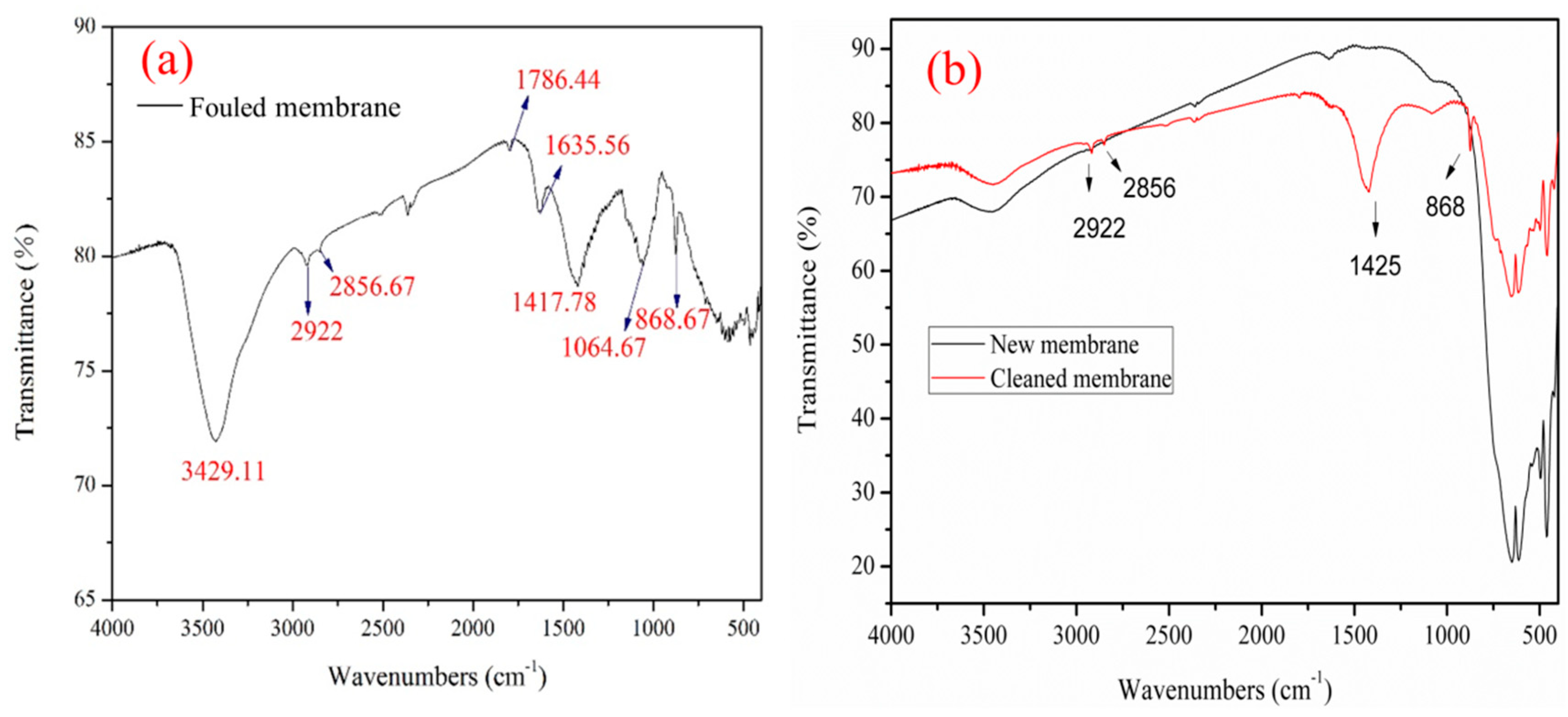 Membranes 14 00057 g007