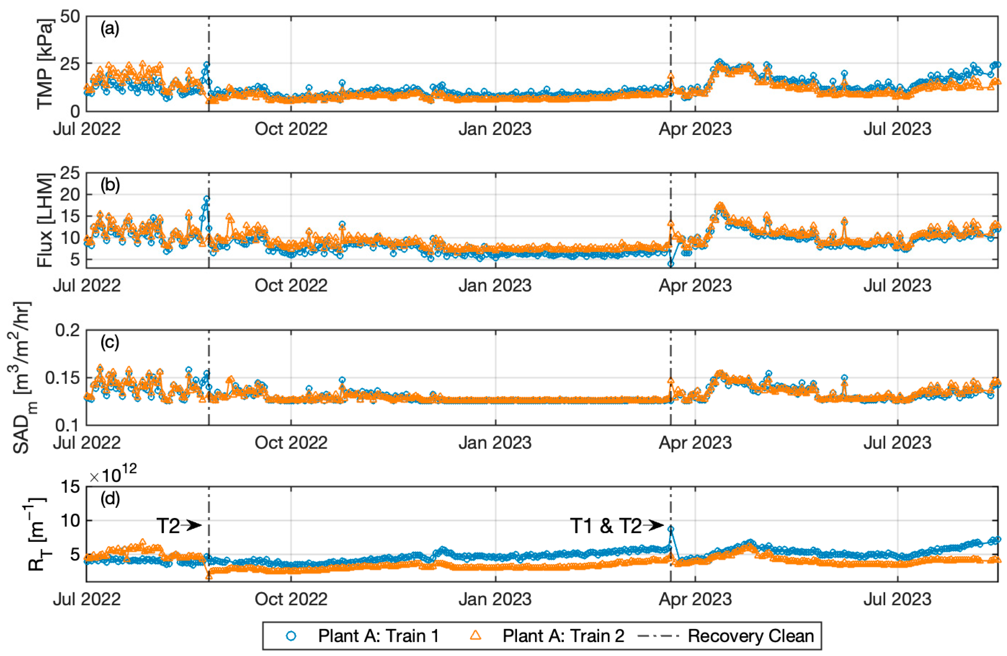 Membranes 14 00058 g001