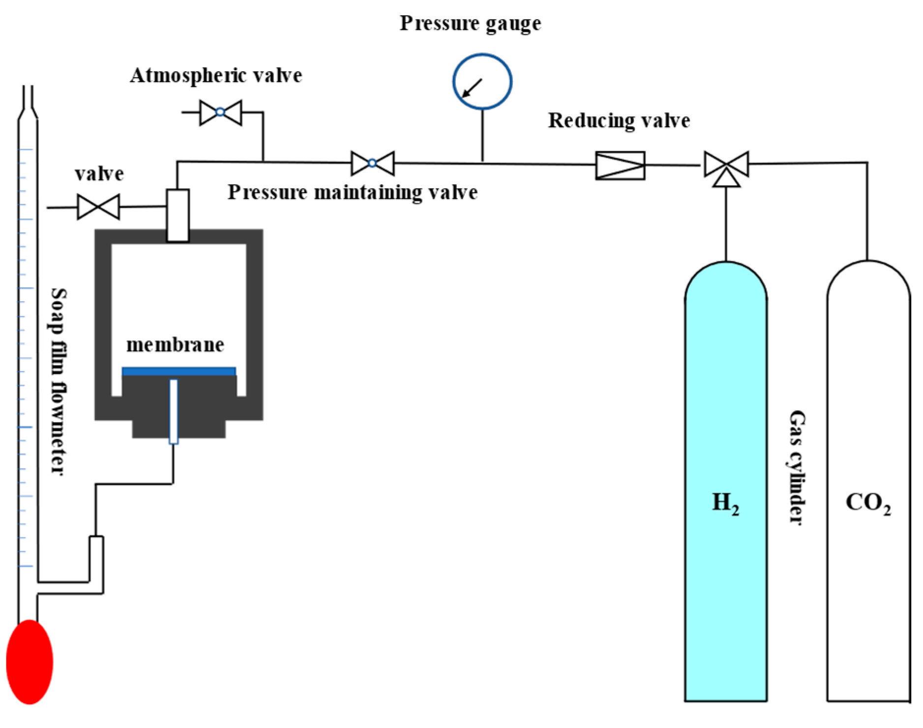 Membranes 14 00063 g002