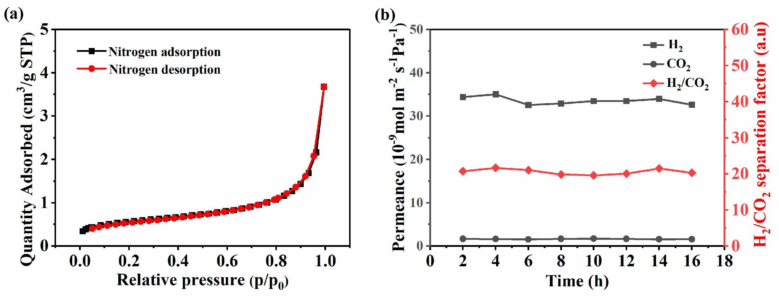 Membranes 14 00063 g007