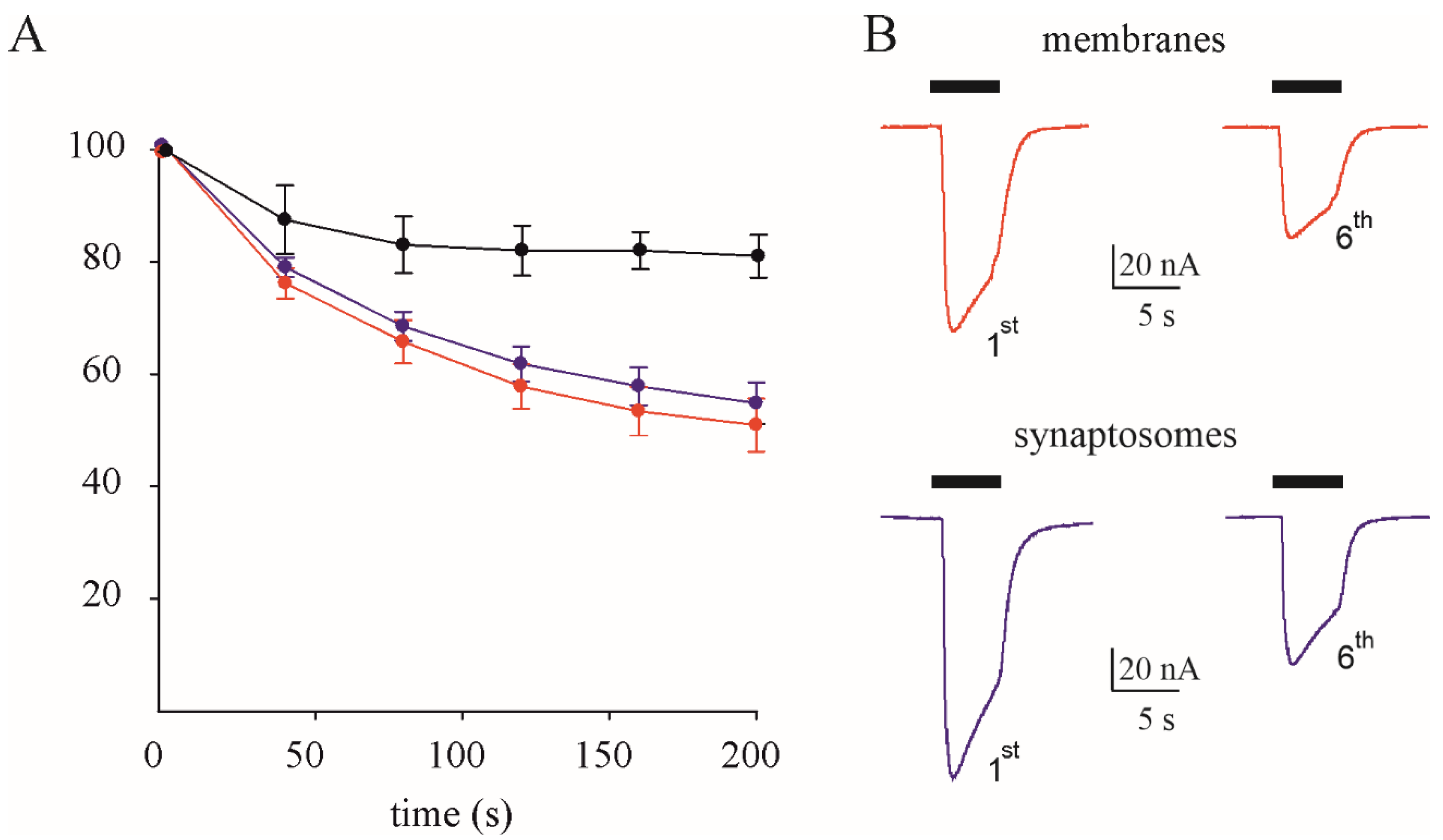 Membranes 14 00064 g001
