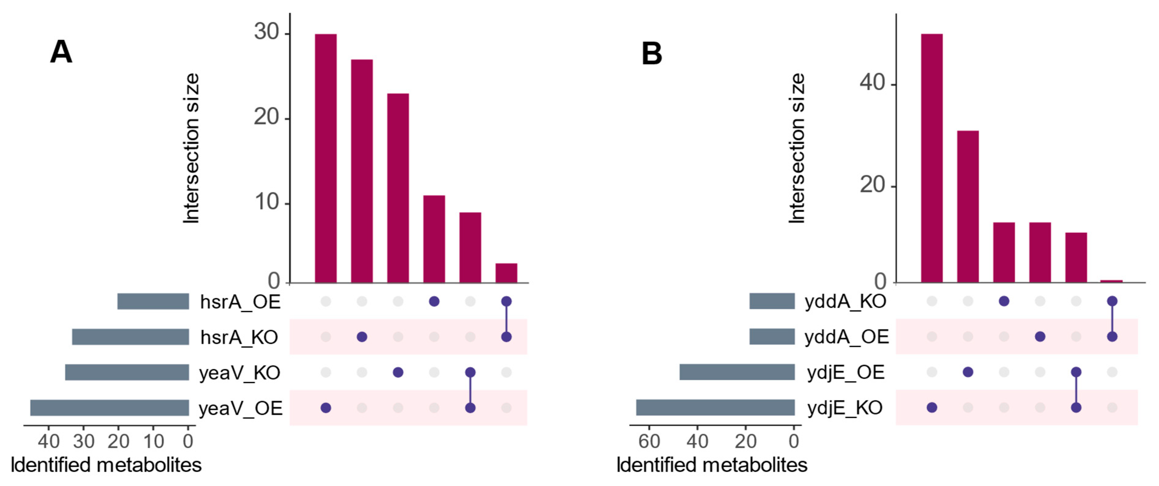 Membranes 14 00070 g002 Membranes 14 00070 g002