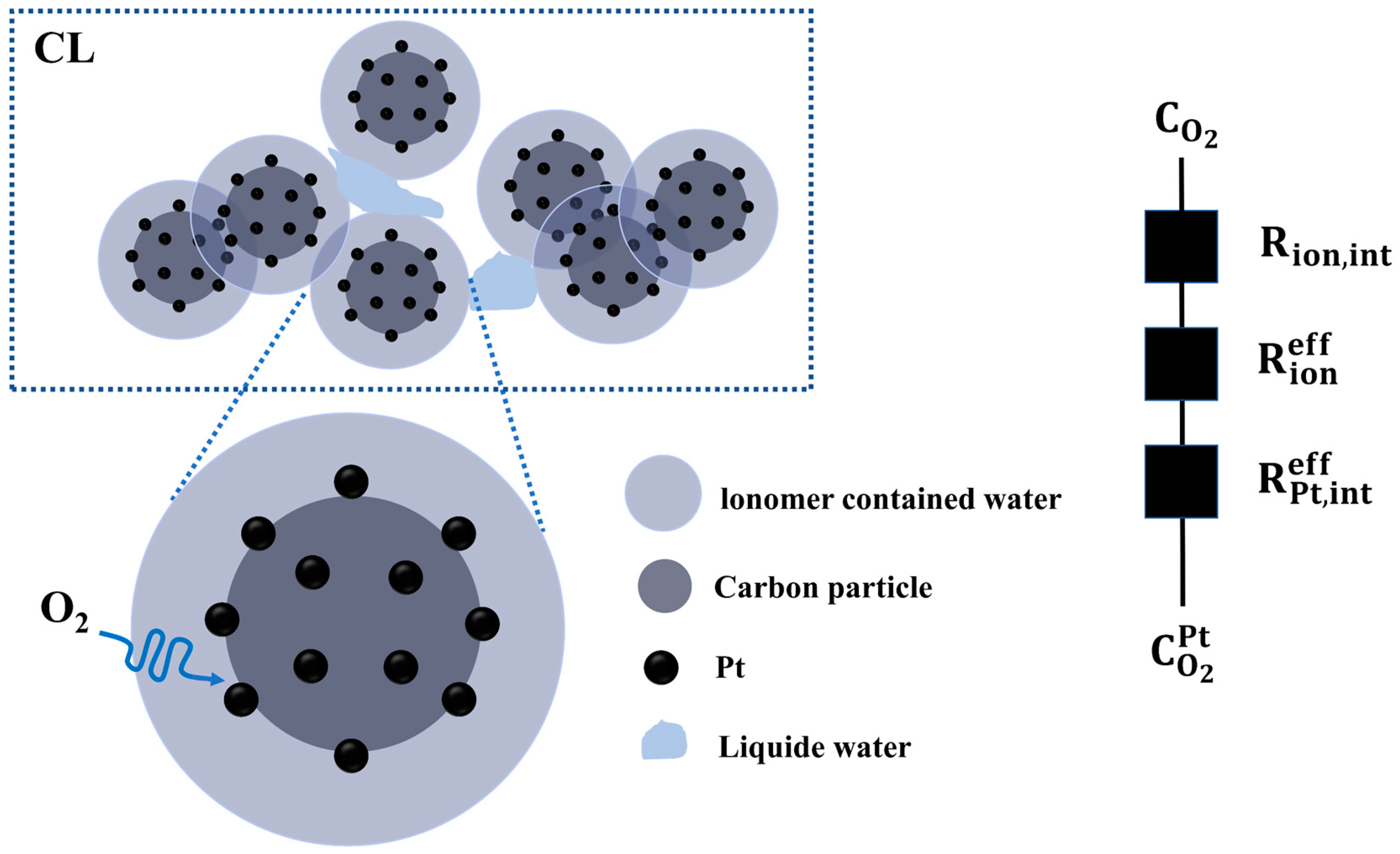 Membranes 14 00072 g002