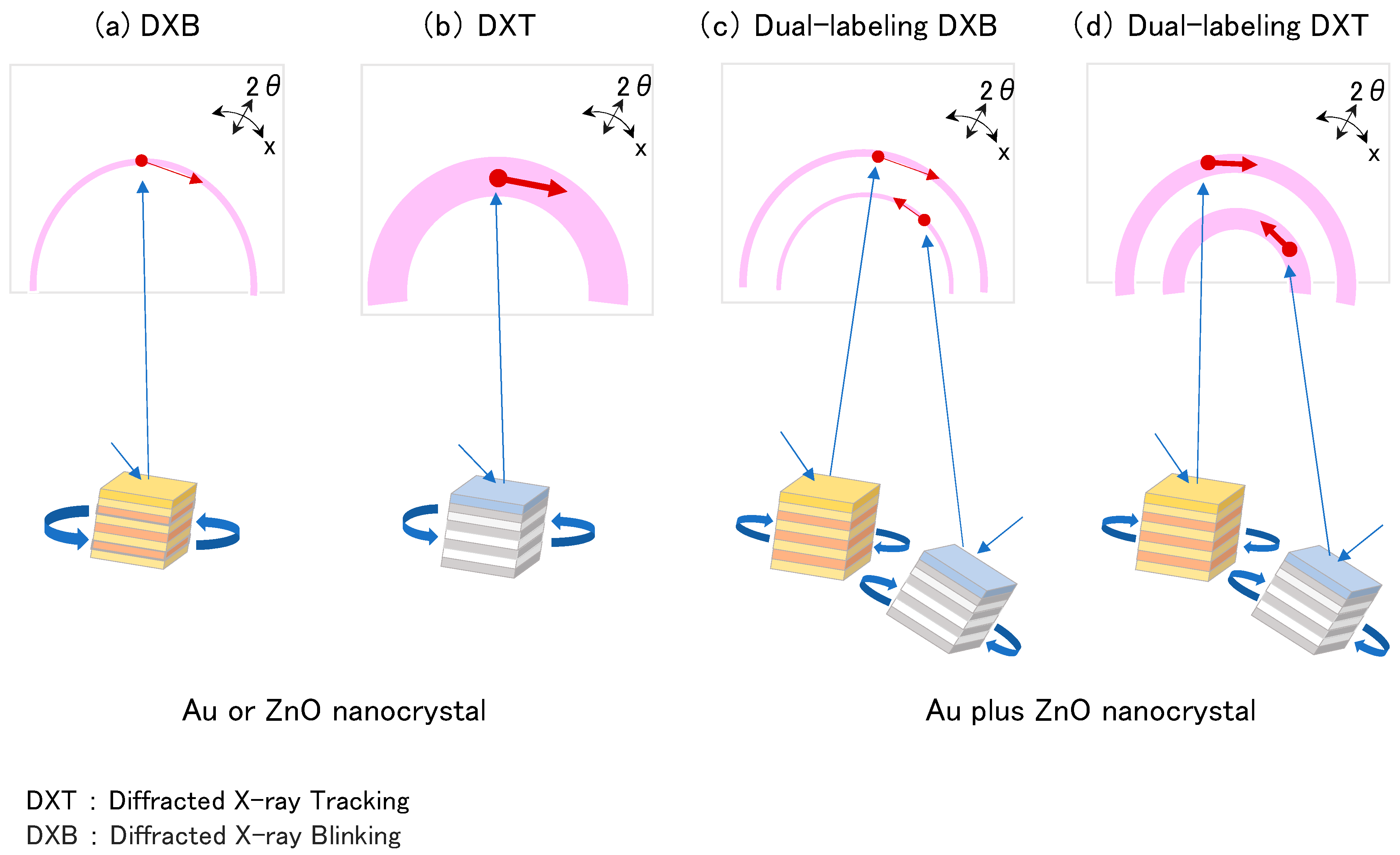 Membranes 14 00075 g001