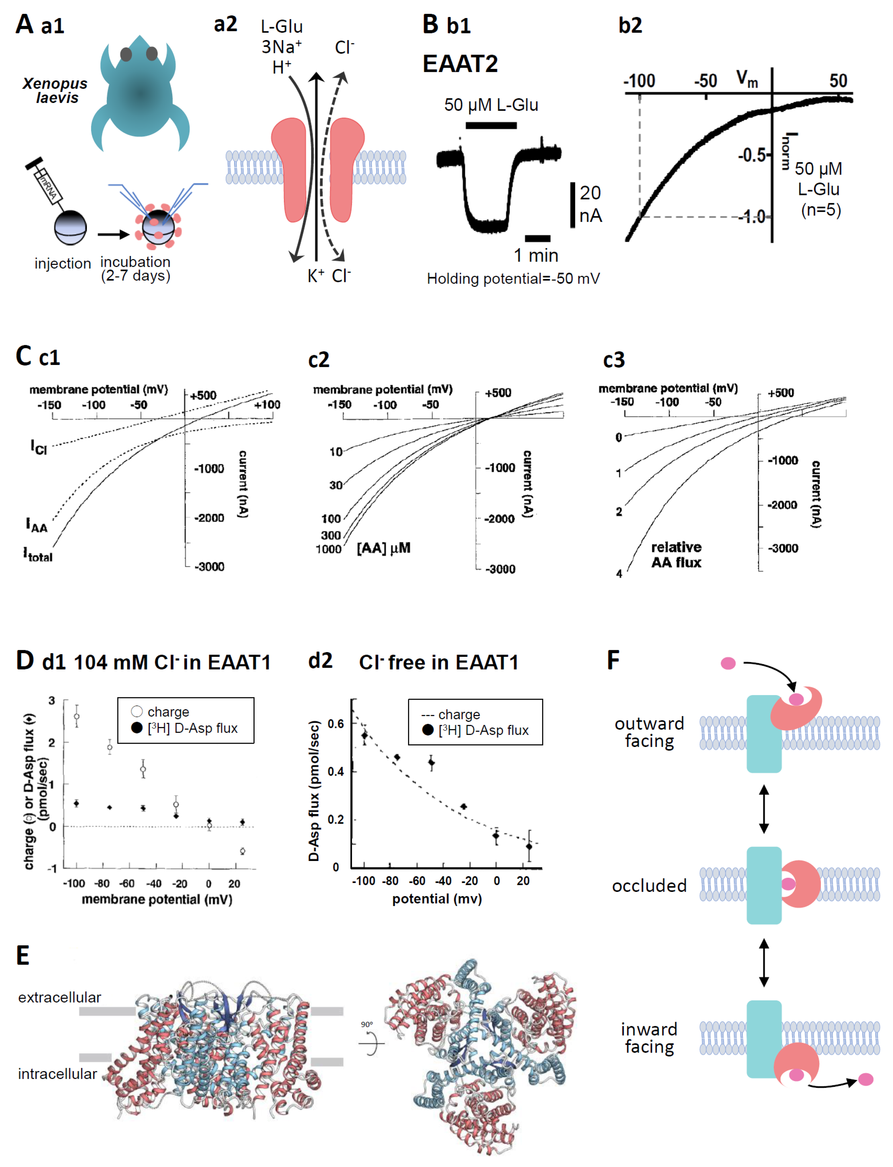 Membranes 14 00077 g001 Membranes 14 00077 g001