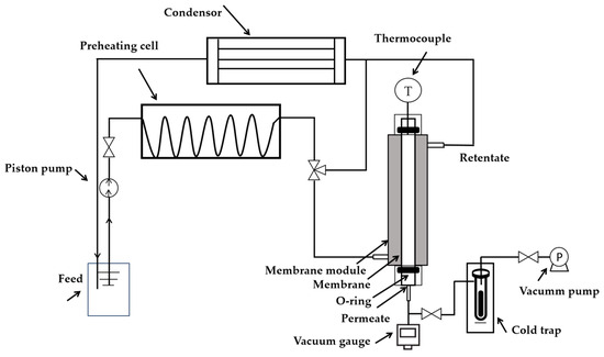アーツ 深リム ENKEI BORGNER ZX エンケイ 17インチ 8.5J-5 6H-139.7