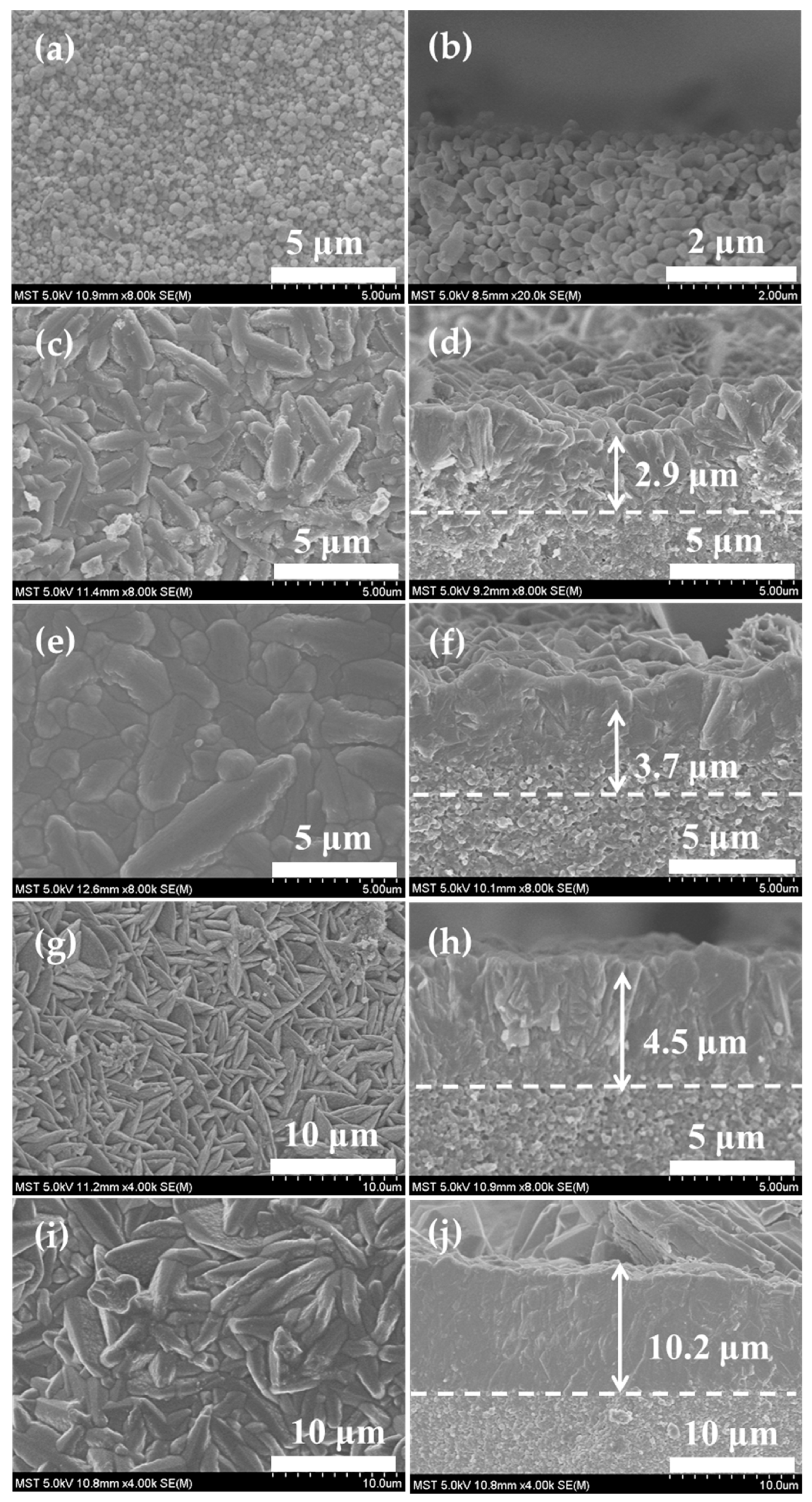 Membranes 14 00078 g004