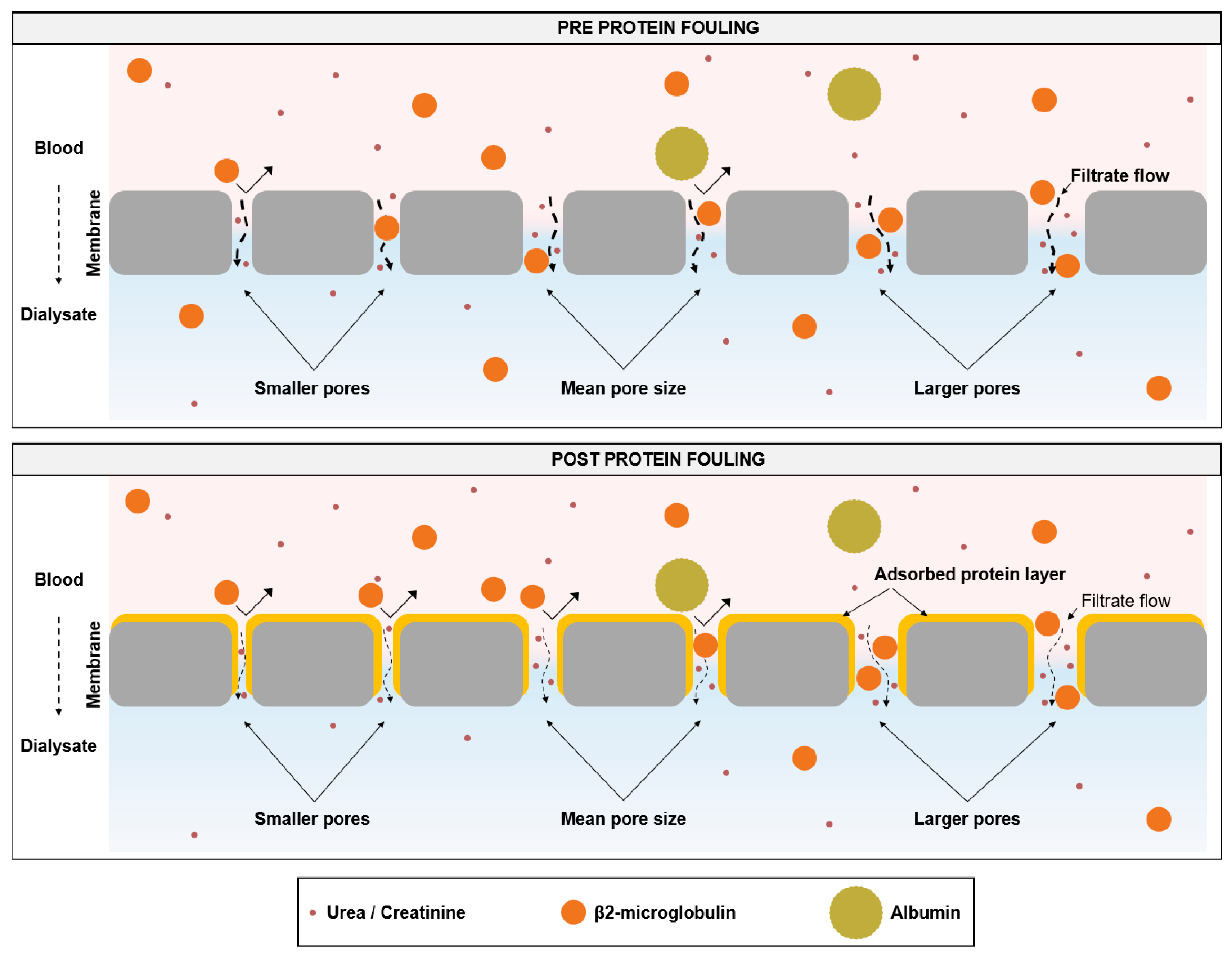 Membranes 14 00083 g008 Membranes 14 00083 g008