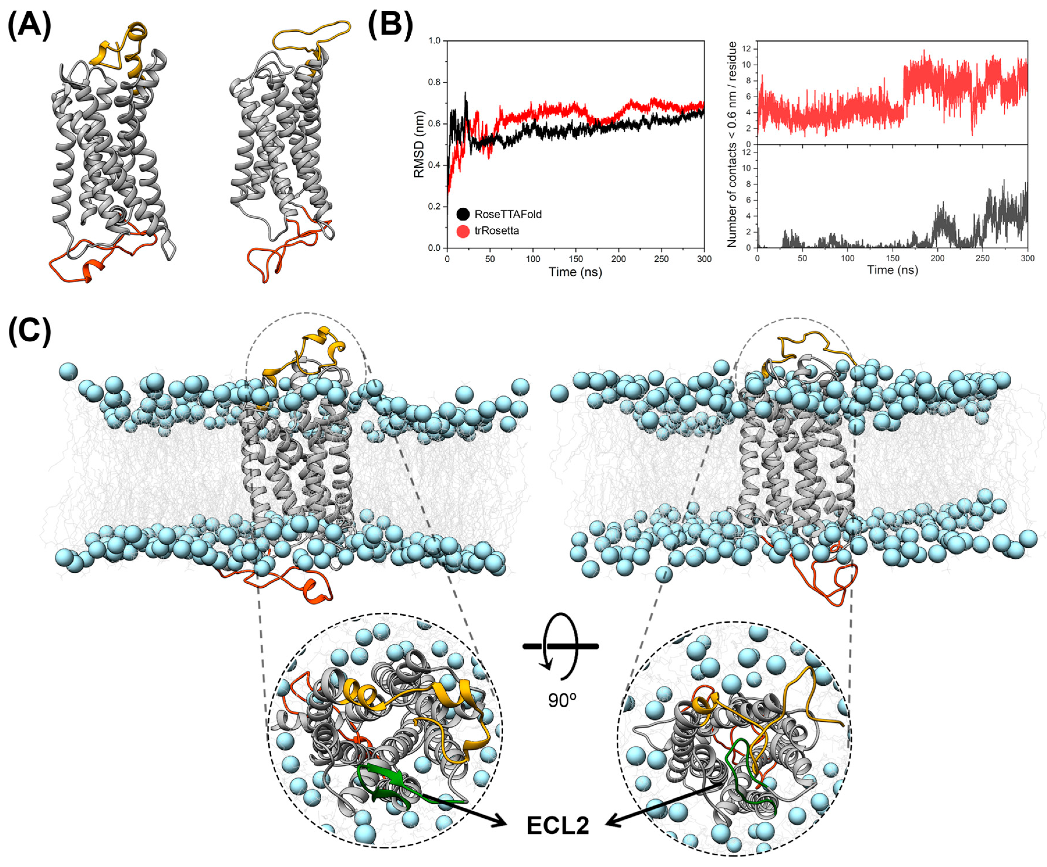Membranes 14 00084 g001