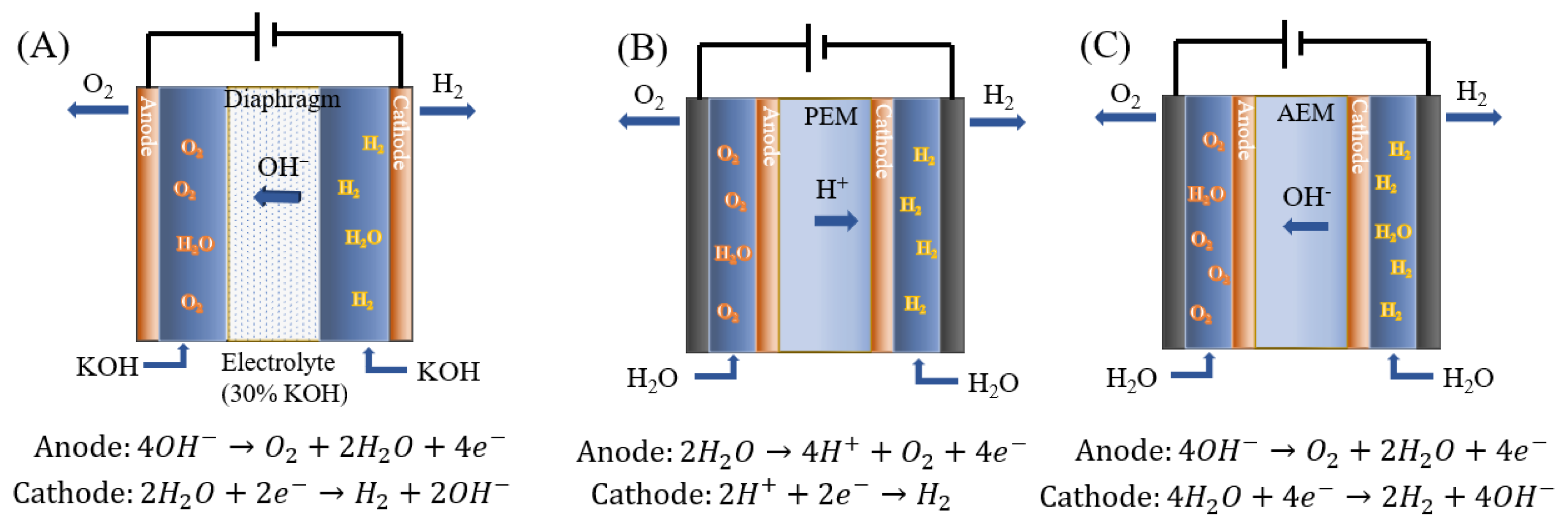 Membranes 14 00085 g001