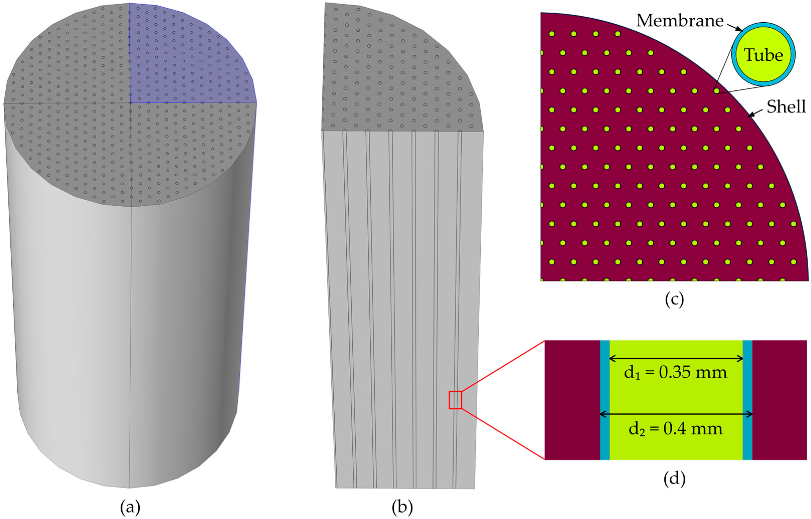 Membranes 14 00086 g002