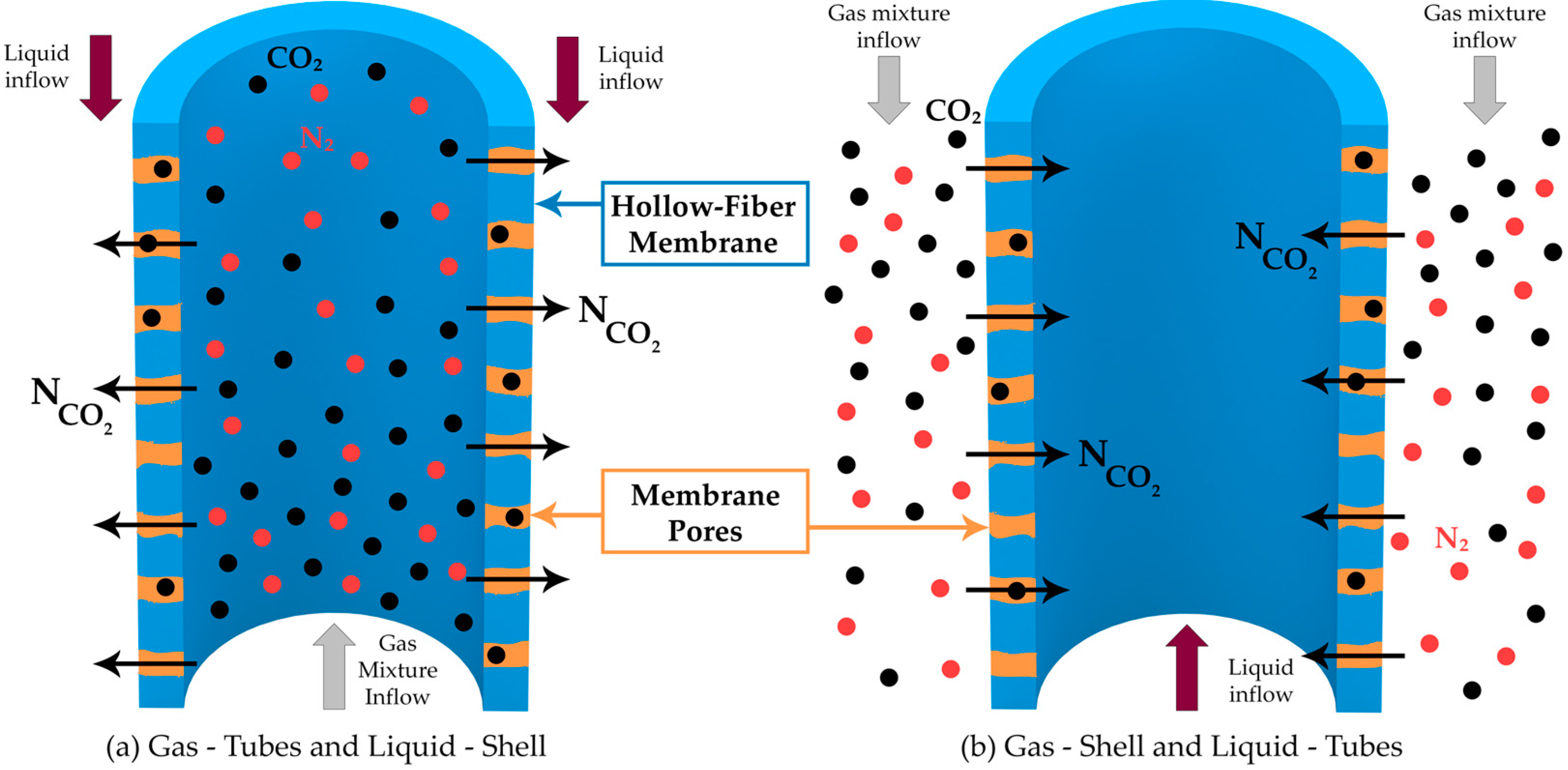 Membranes 14 00086 g011