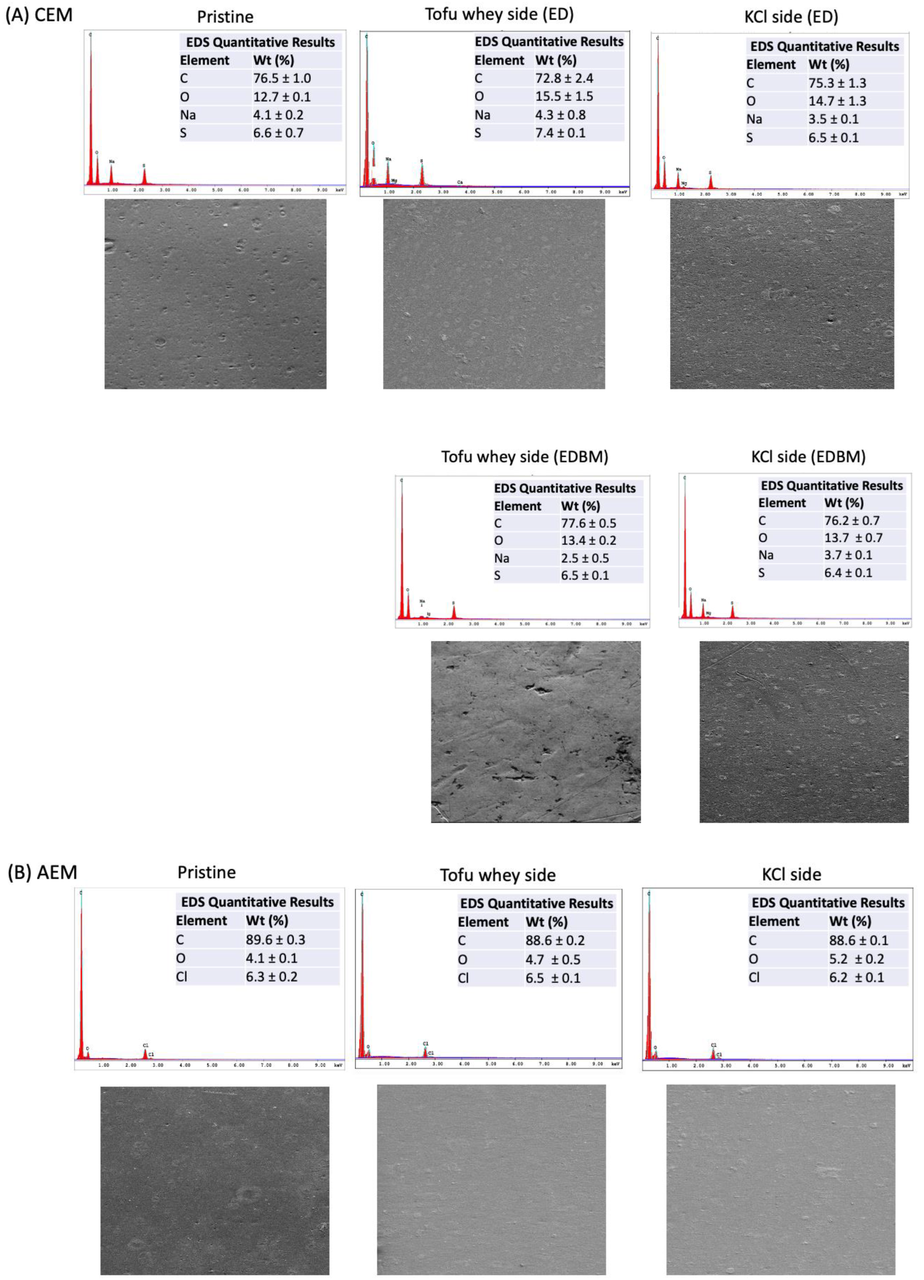 Membranes 14 00088 g005 Membranes 14 00088 g005