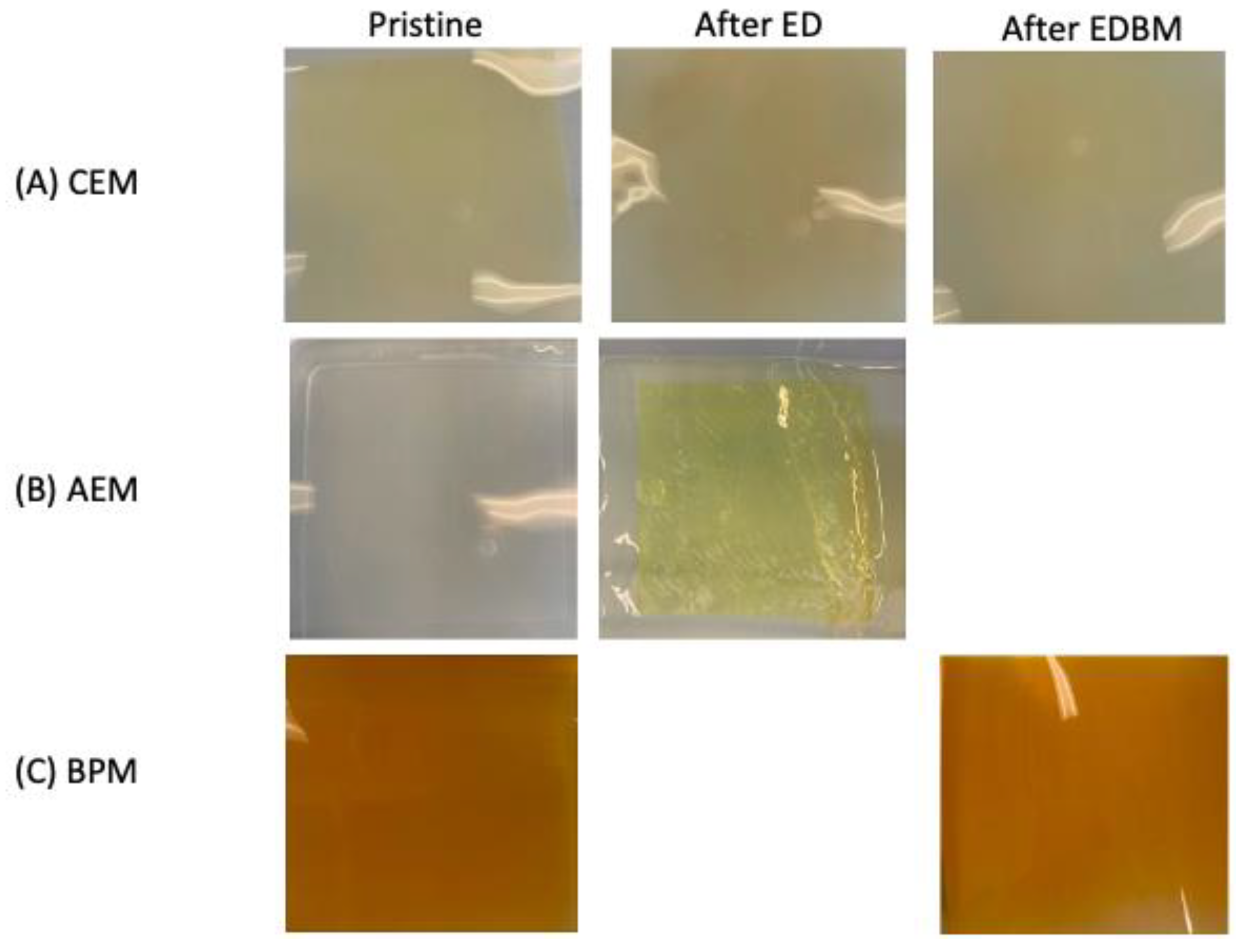 Membranes 14 00088 g008 Membranes 14 00088 g008