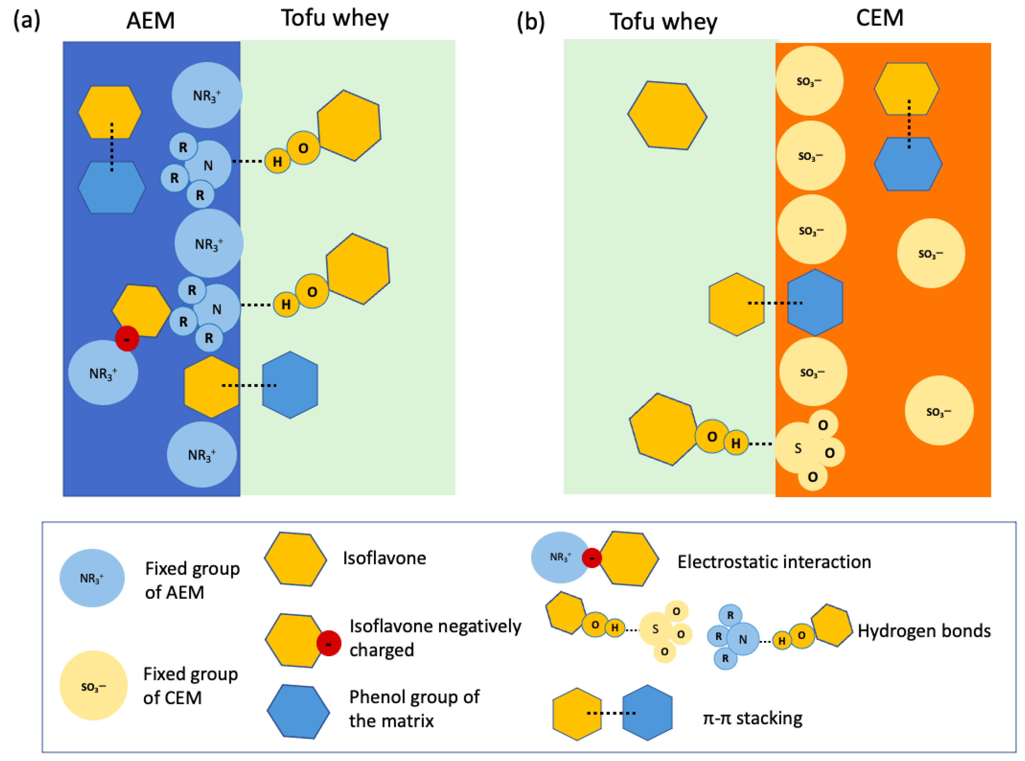 Membranes 14 00088 g009 Membranes 14 00088 g009