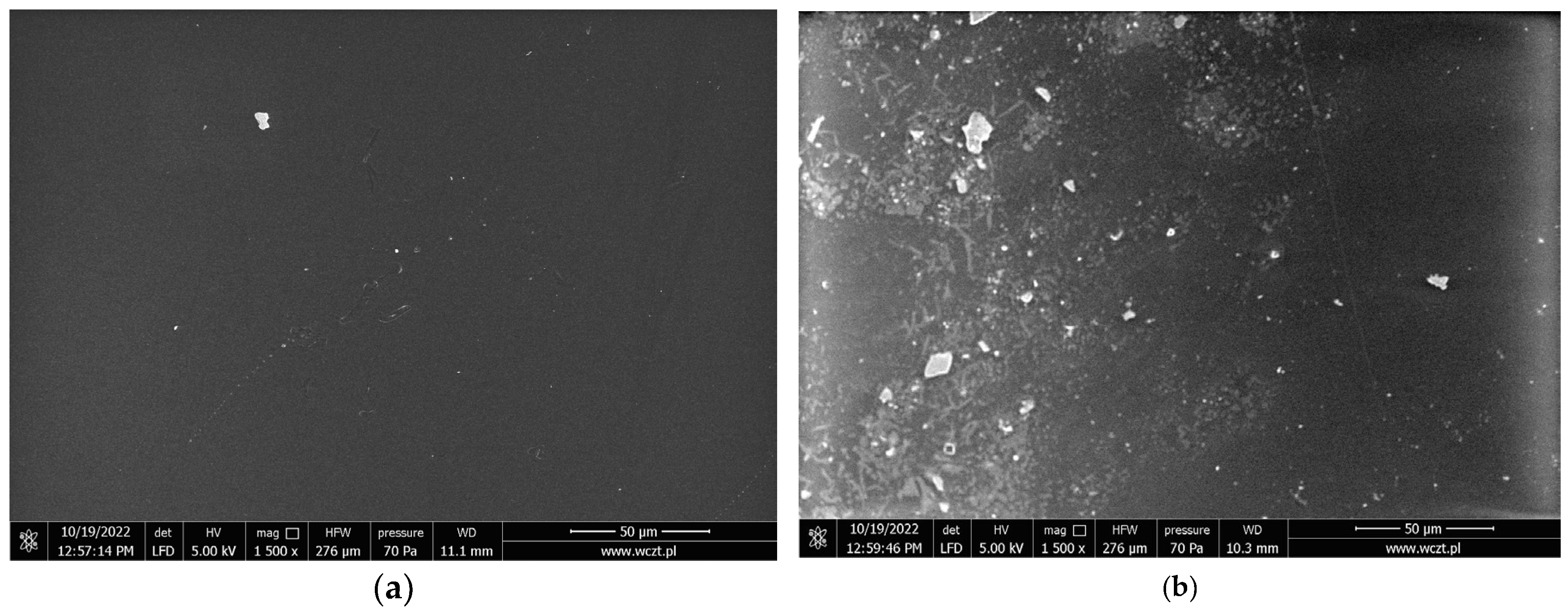 Membranes 14 00092 g008