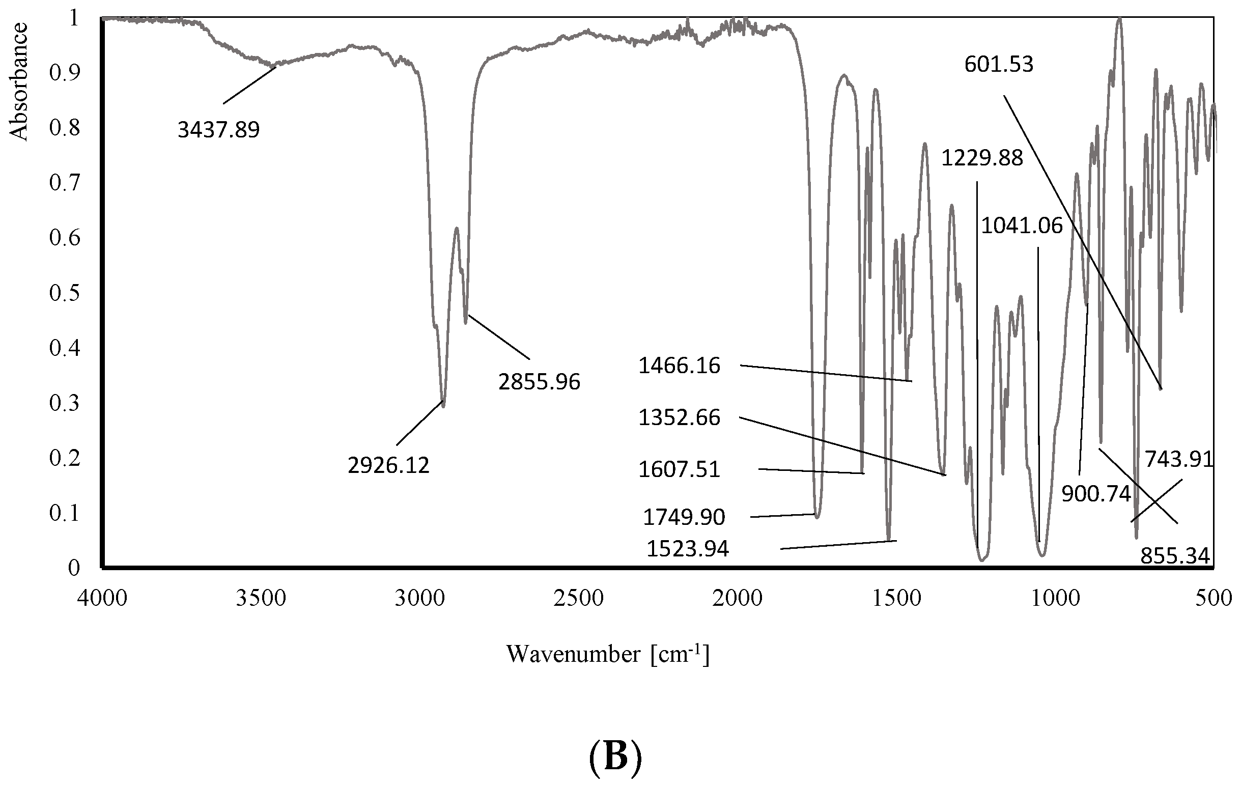 Membranes 14 00092 g010b