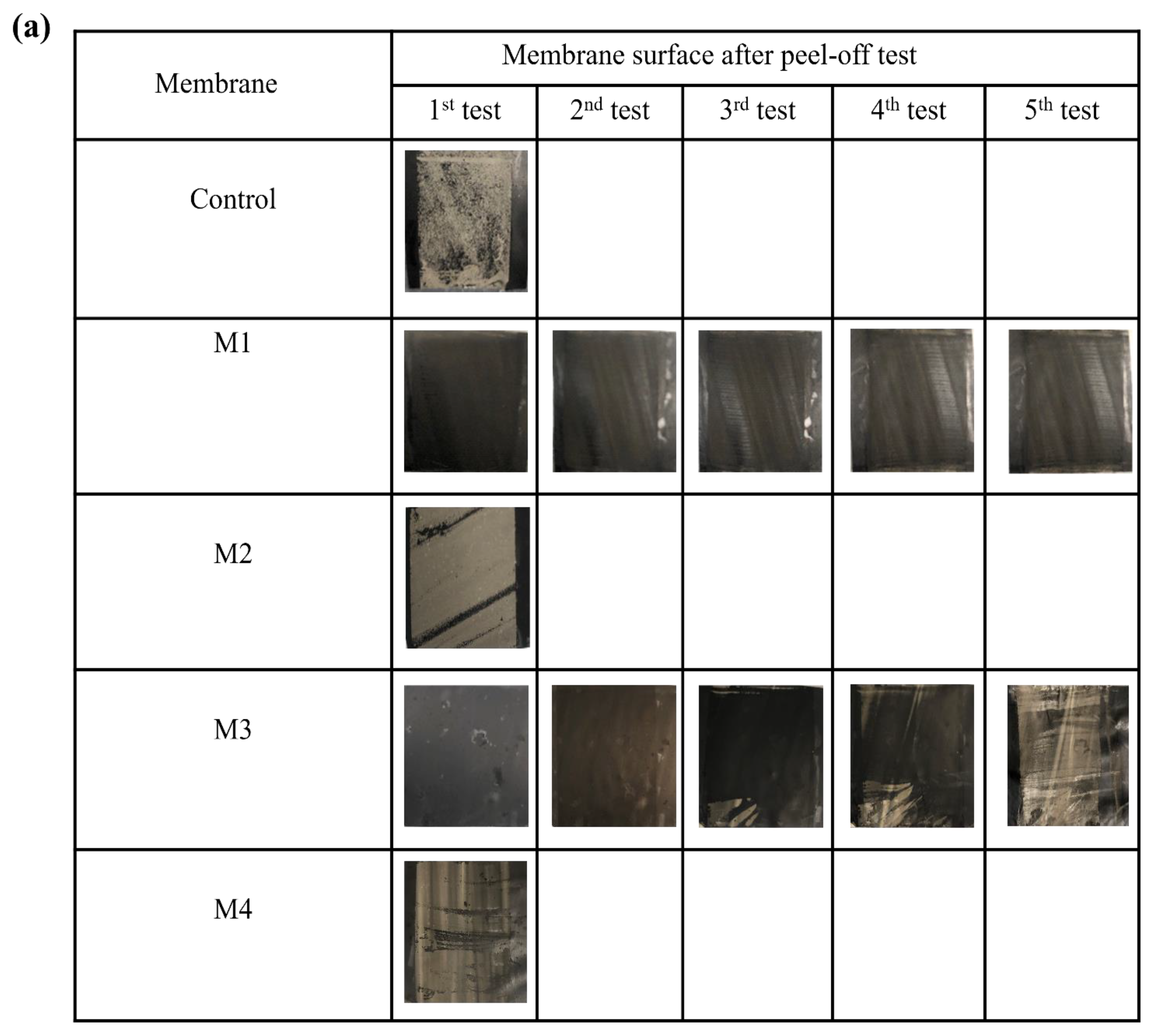 Membranes 14 00094 g005a