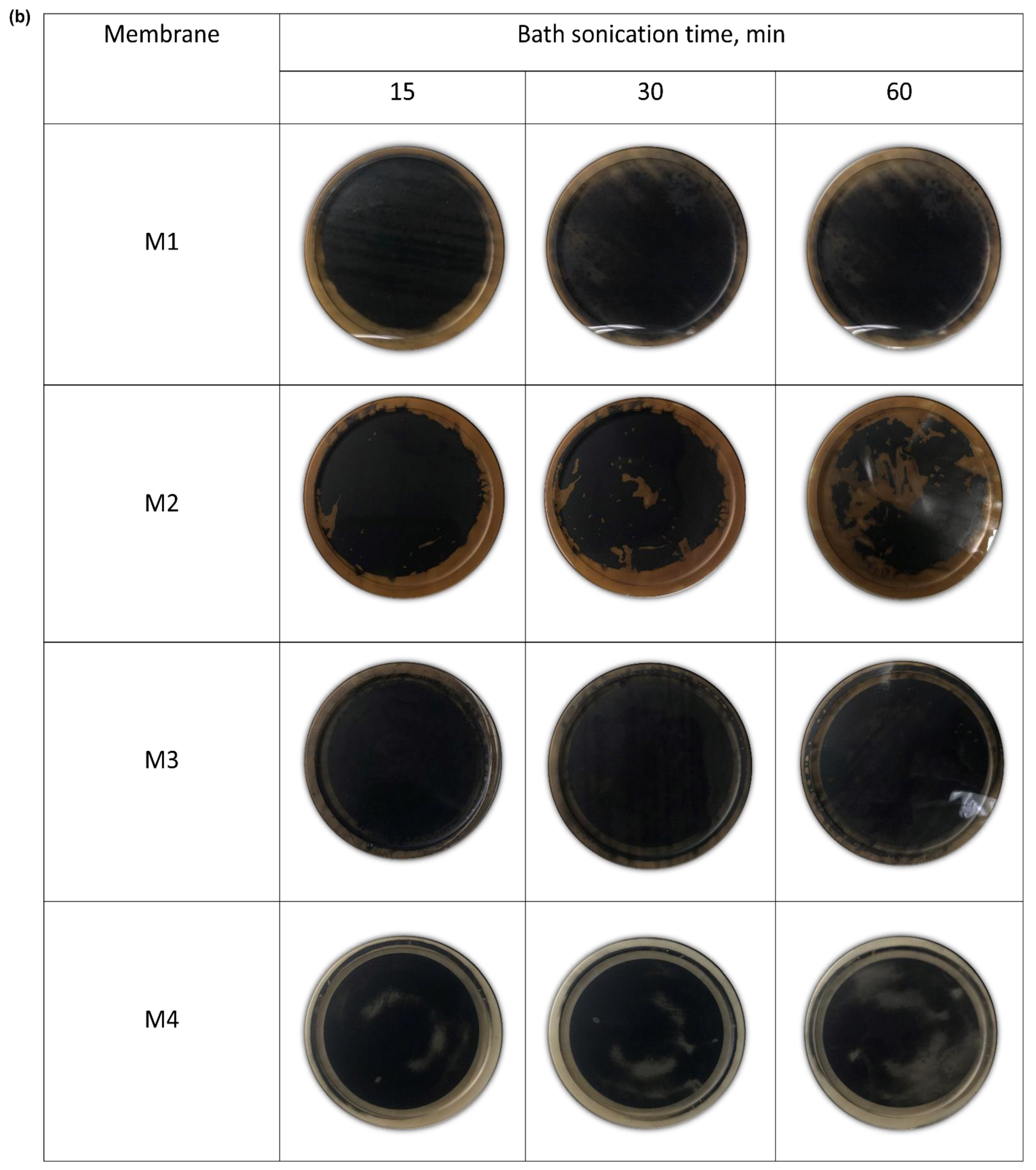 Membranes 14 00094 g005b
