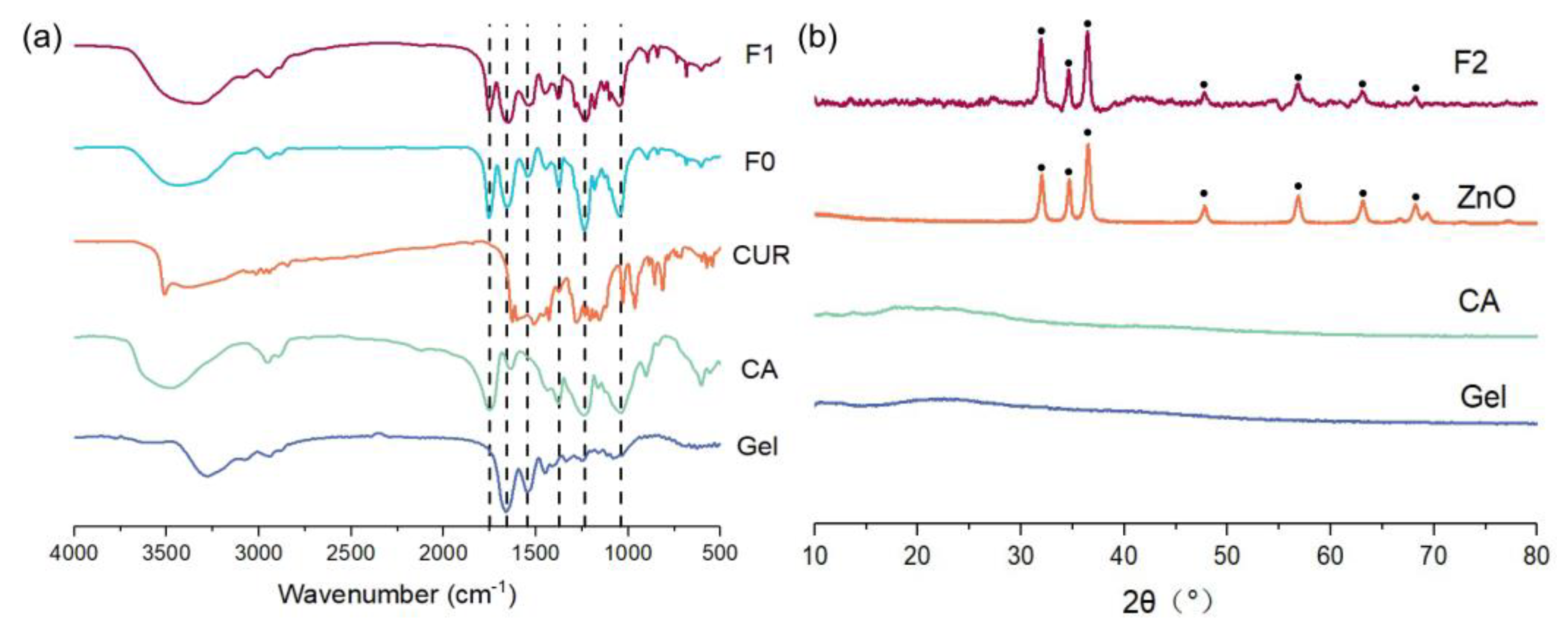 Membranes 14 00095 g002