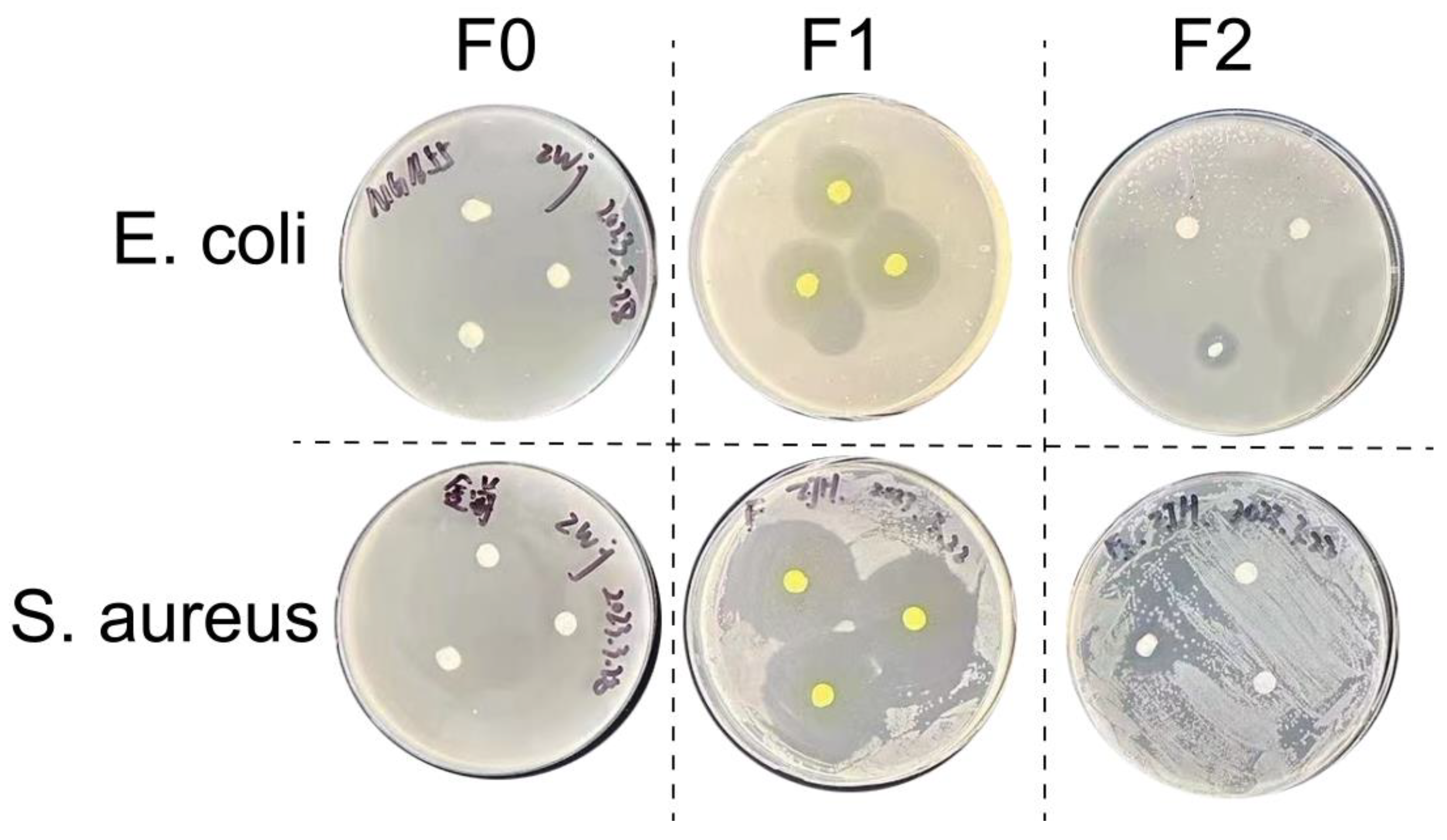 Membranes 14 00095 g006