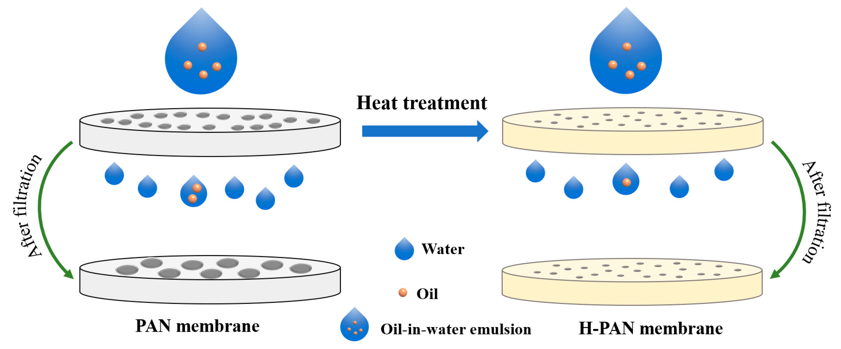 Membranes 14 00097 g009