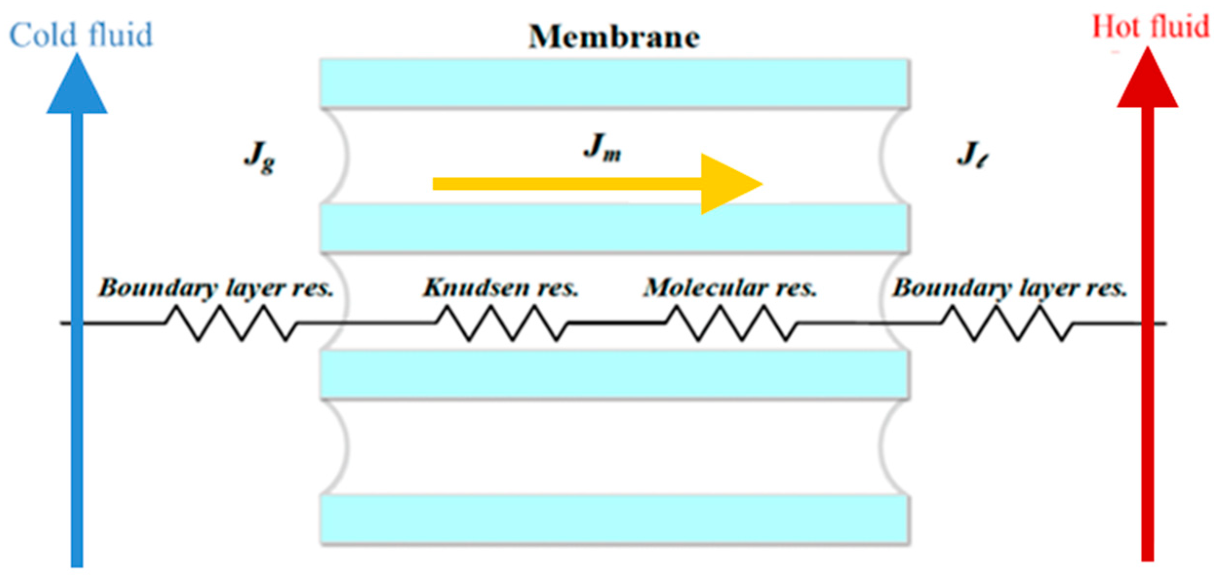 Membranes 14 00098 g004