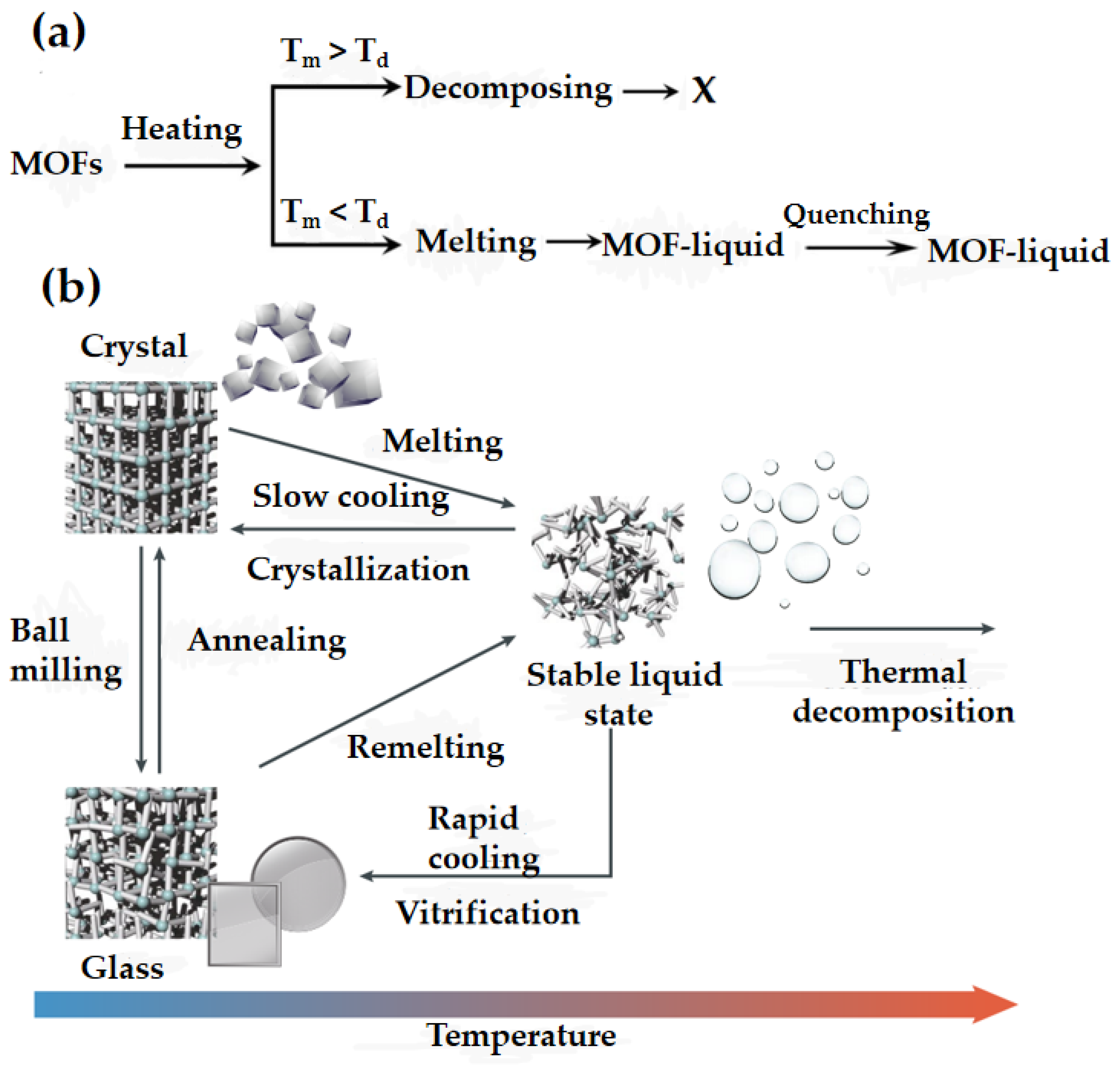 Membranes 14 00099 g002 Membranes 14 00099 g002