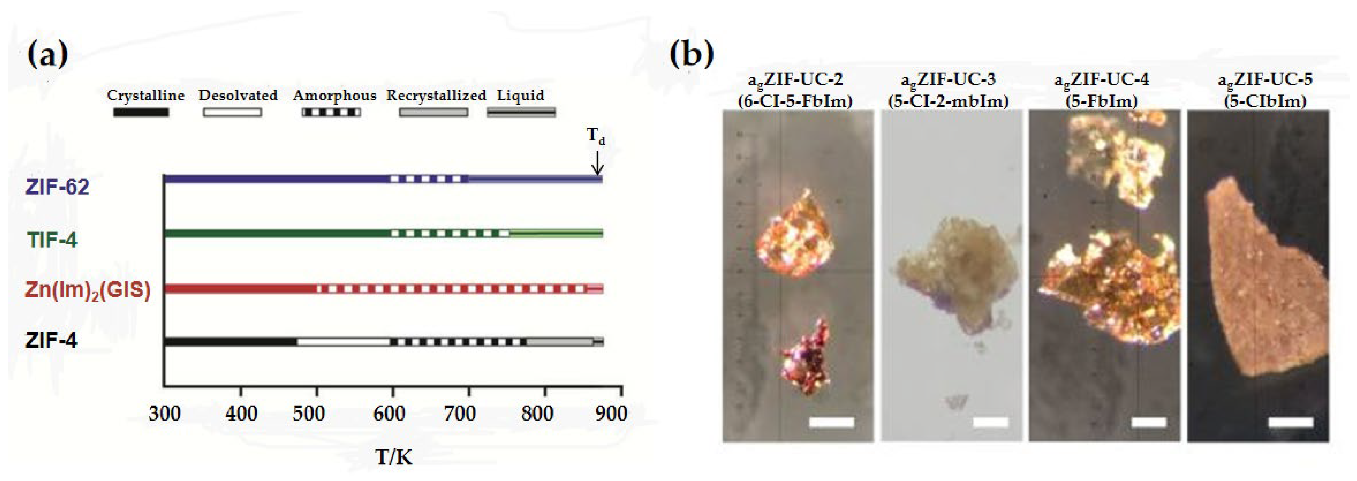 Membranes 14 00099 g003 Membranes 14 00099 g003