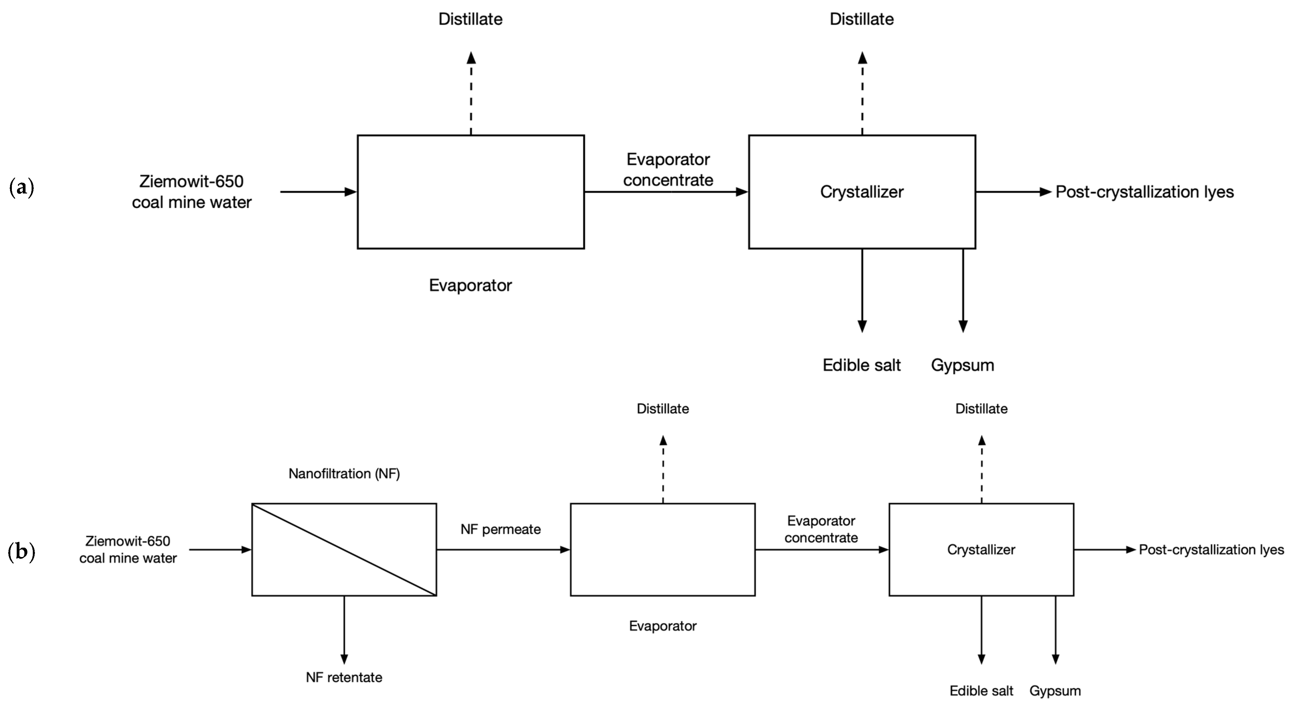 Membranes 14 00103 g001