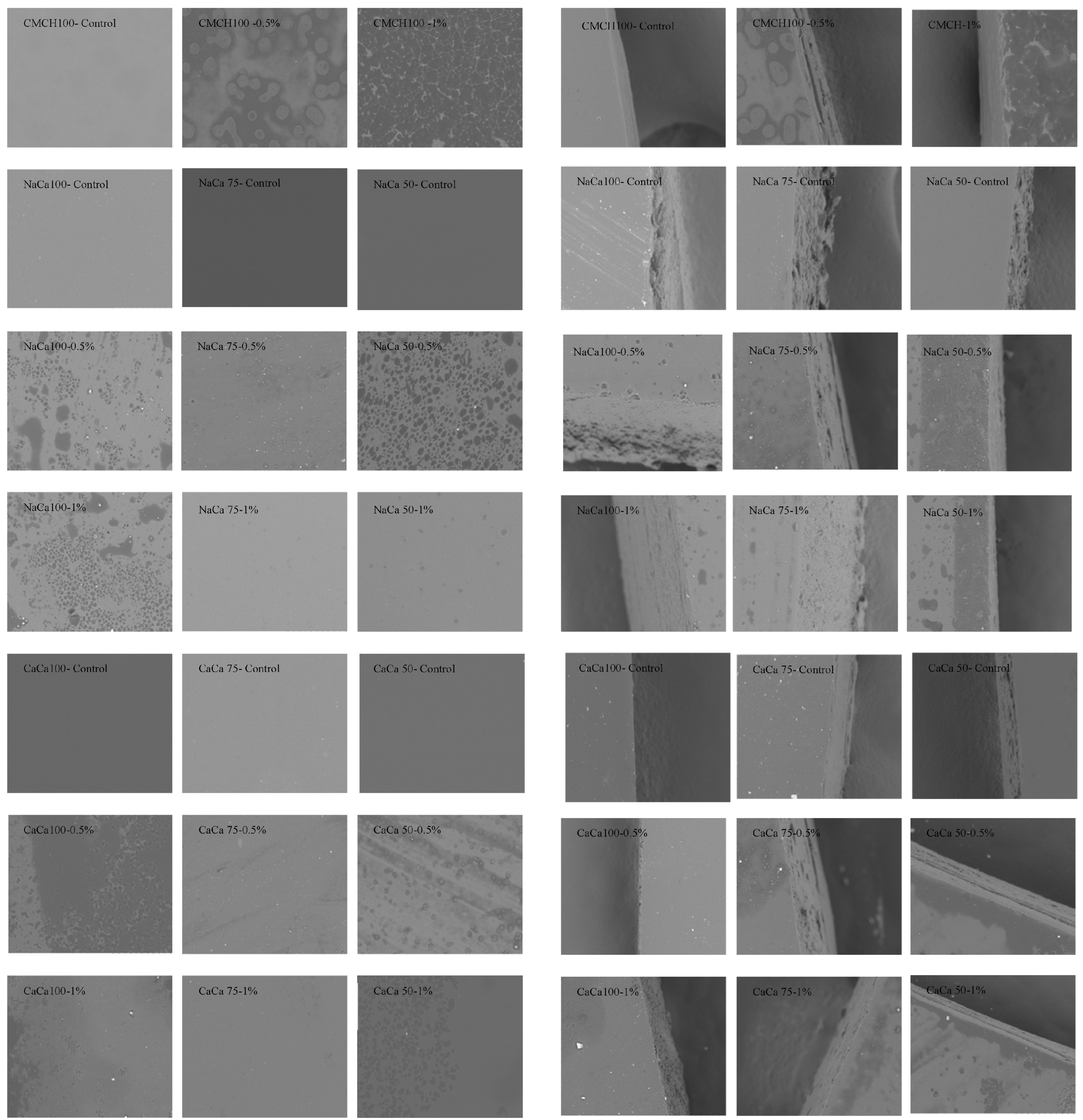 Membranes 14 00104 g007