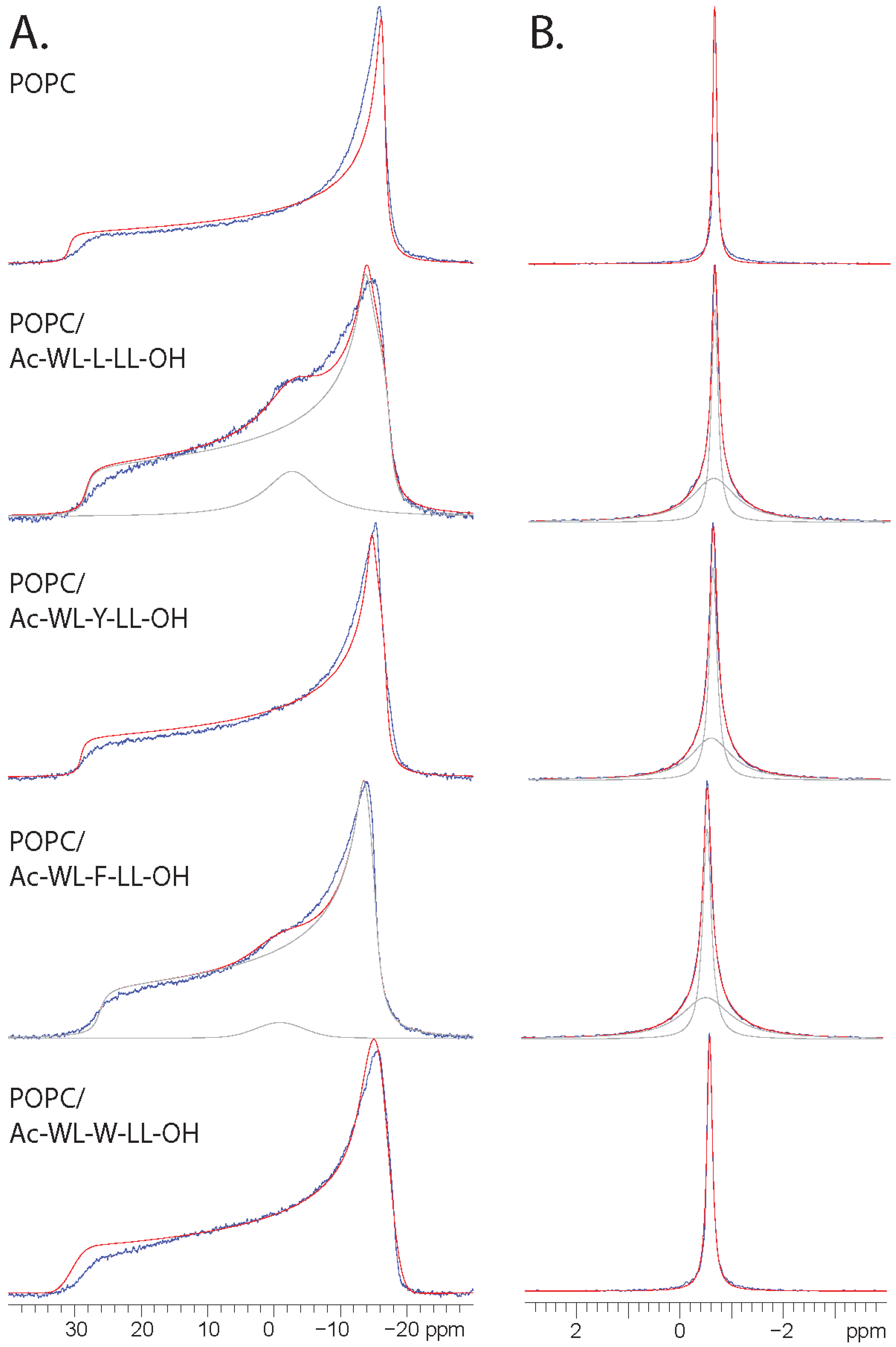 Membranes 14 00105 g001