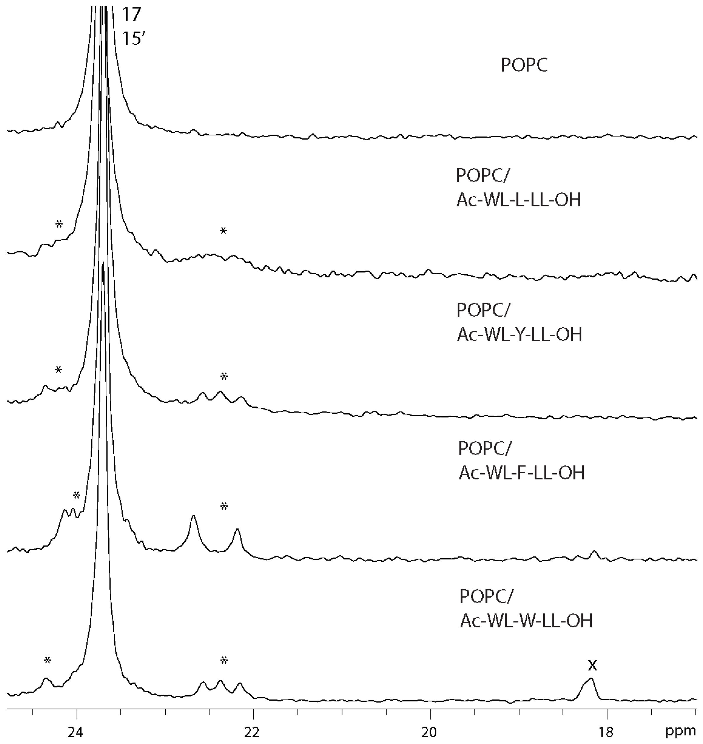 Membranes 14 00105 g005