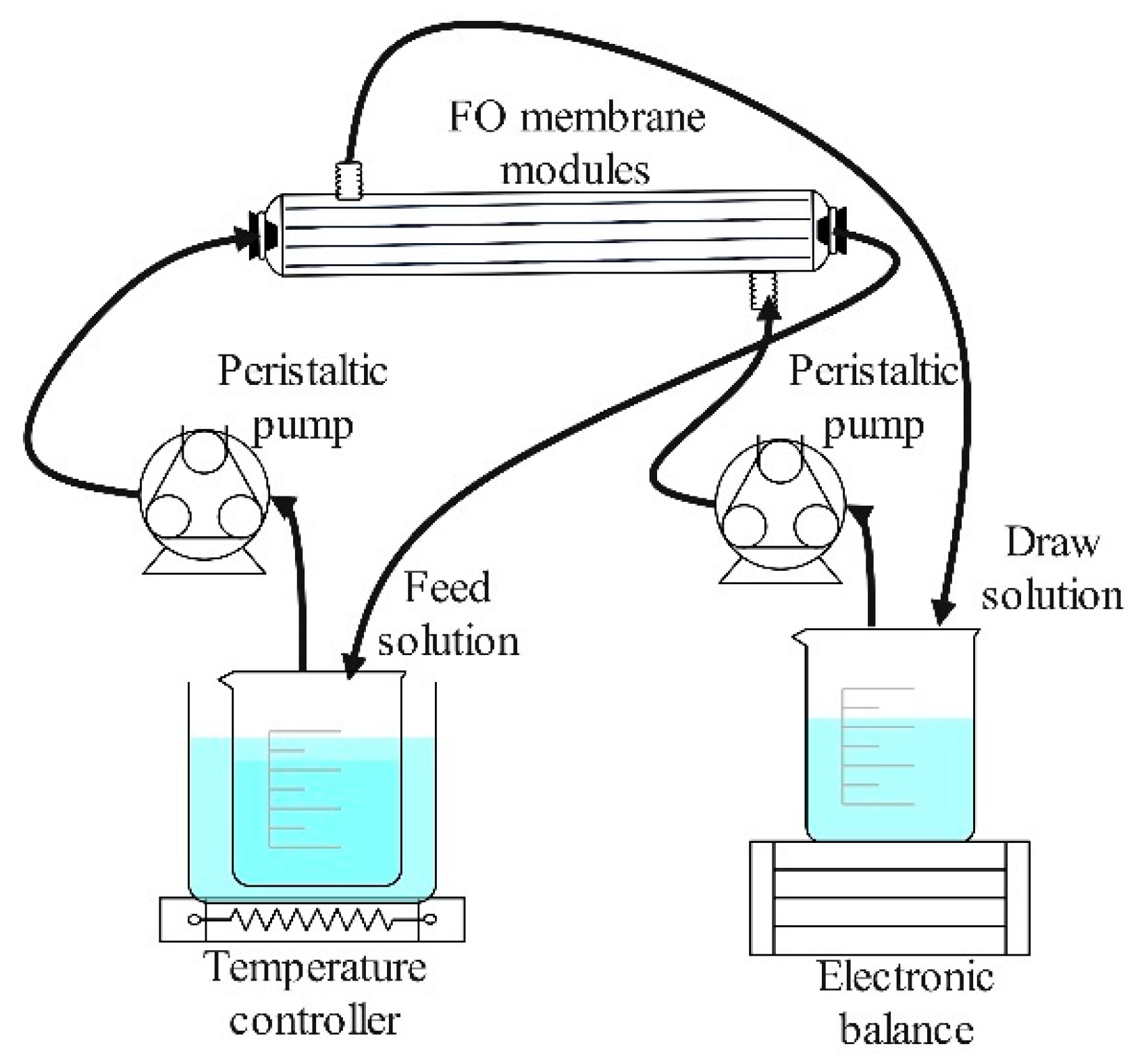 Membranes 14 00106 g001