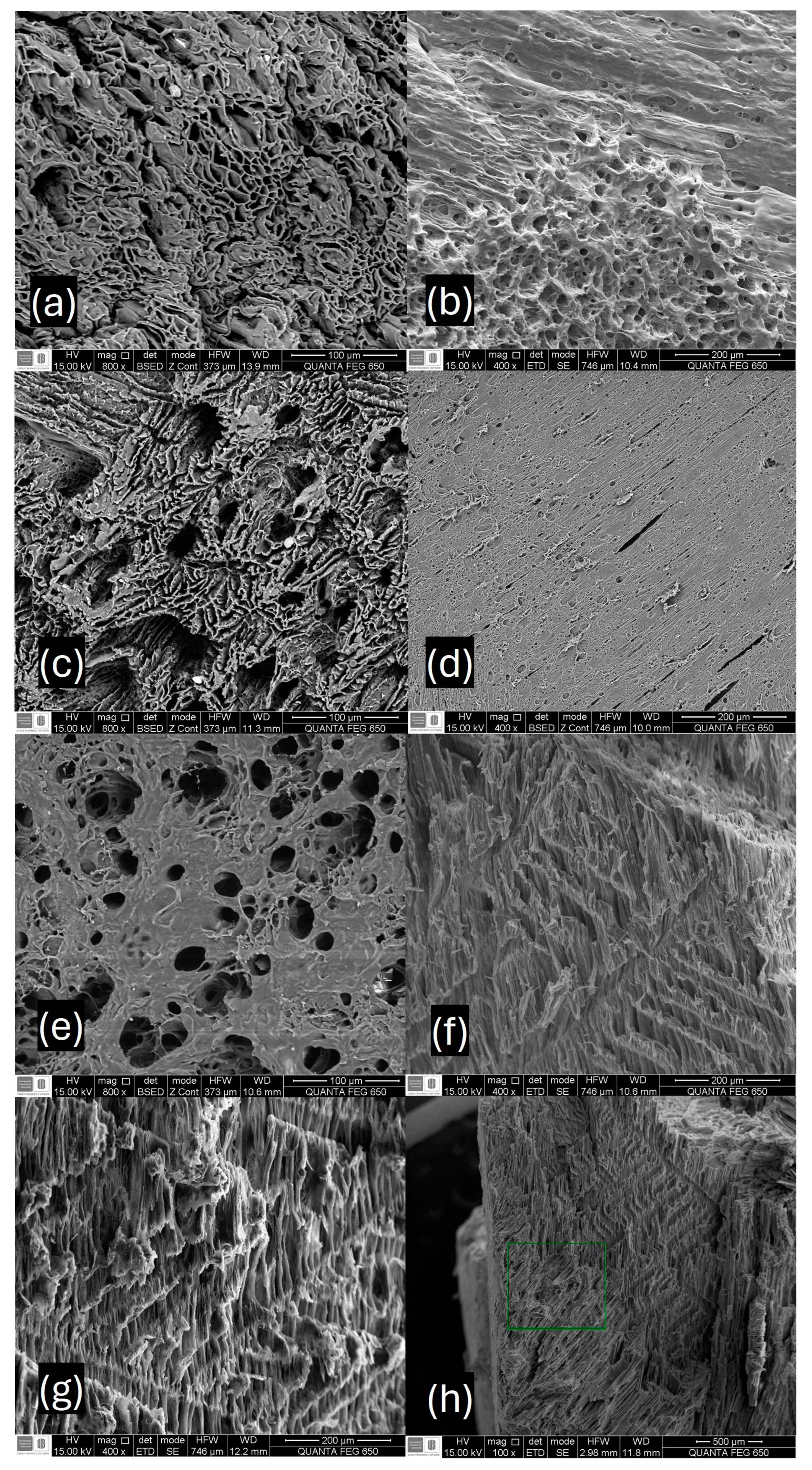 Membranes 14 00108 g006 Membranes 14 00108 g006