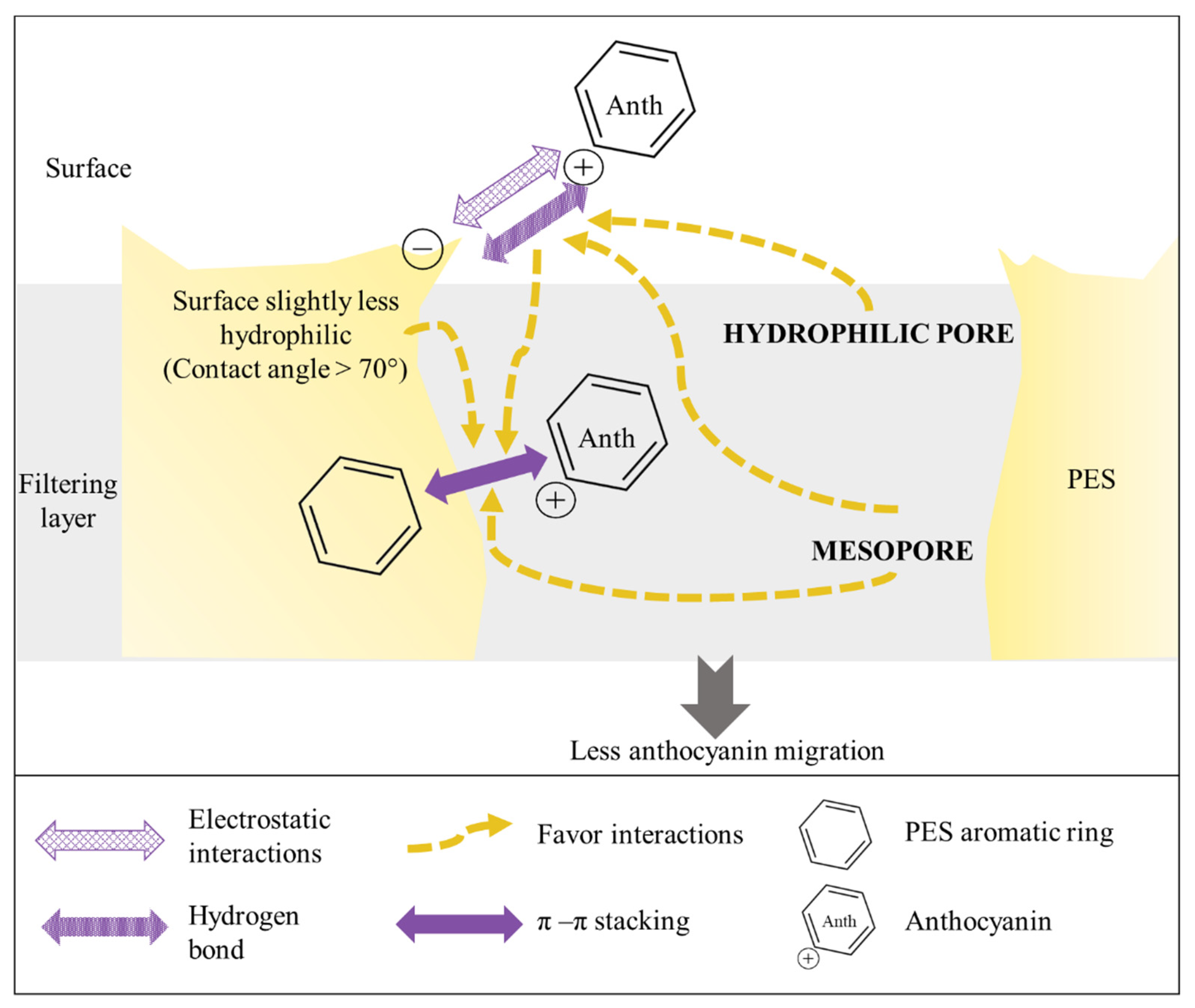 Membranes 14 00111 g007