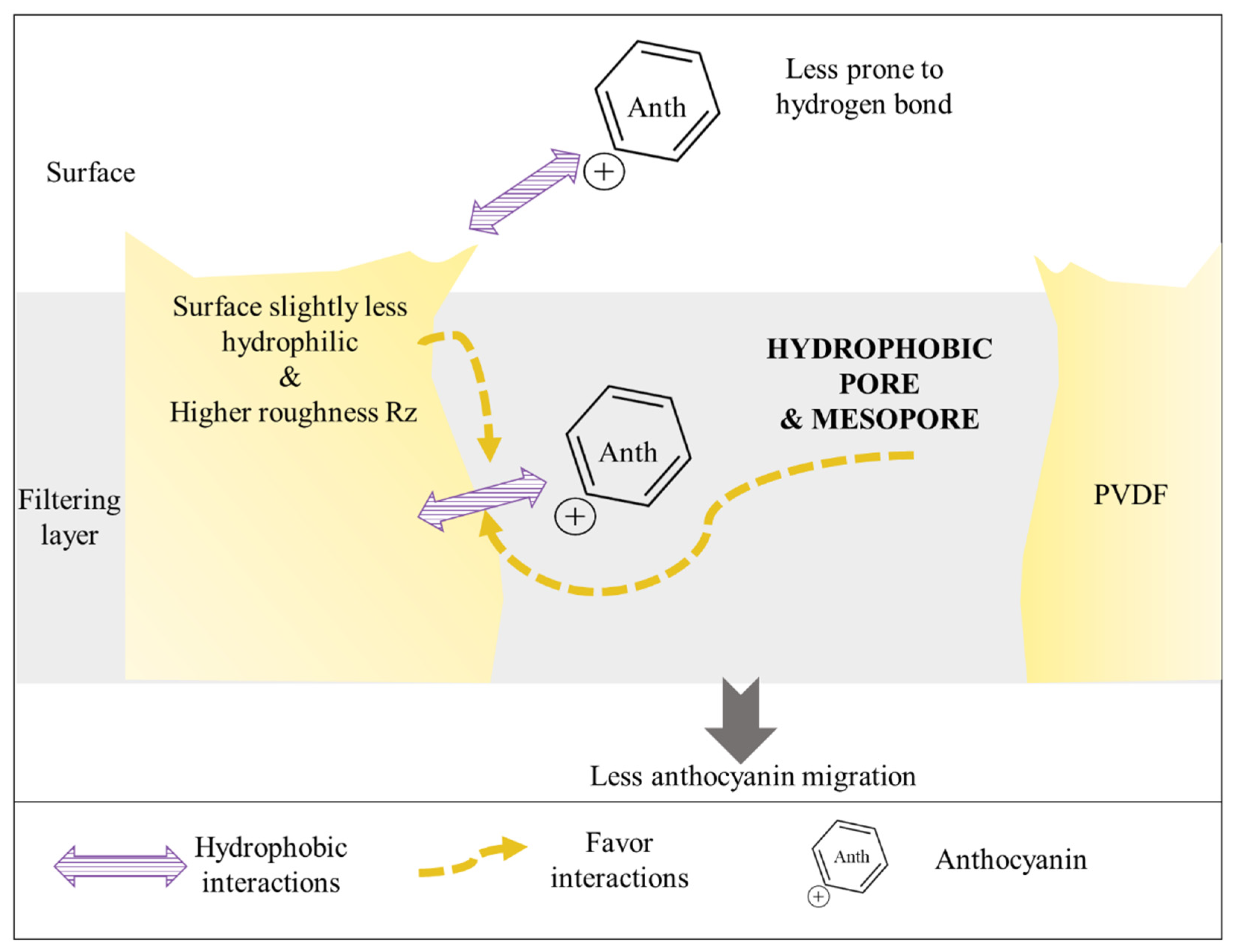Membranes 14 00111 g008