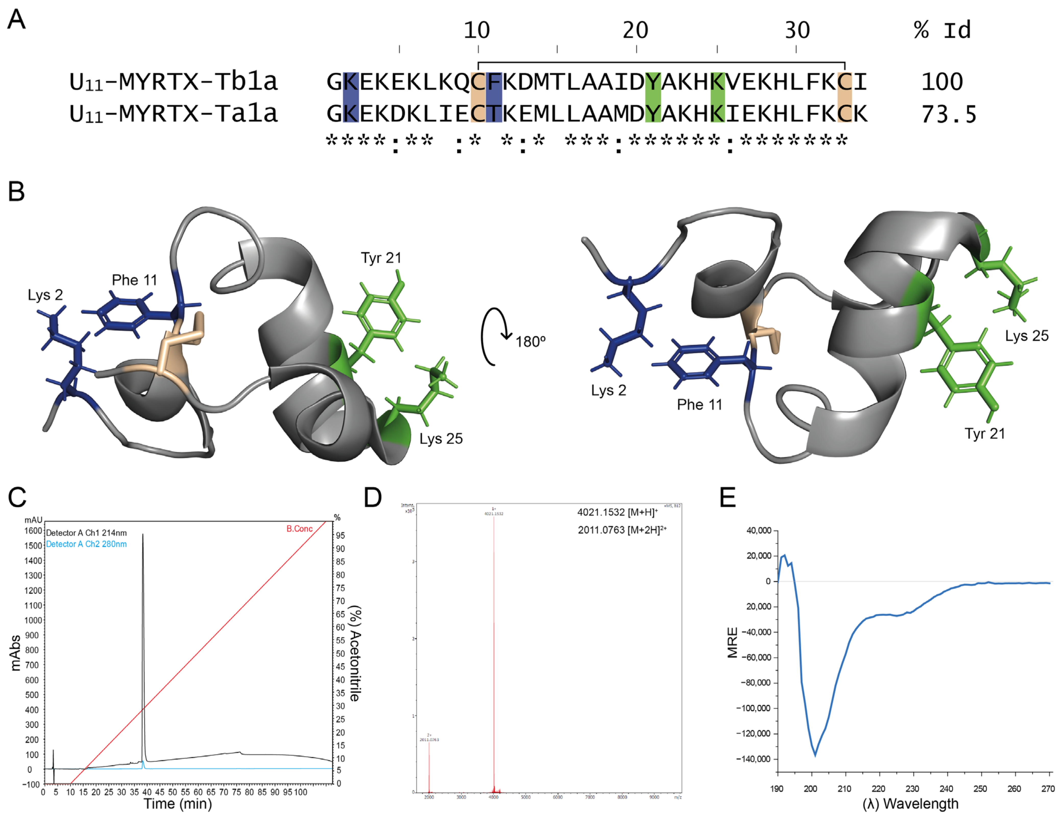 Membranes 14 00114 g001