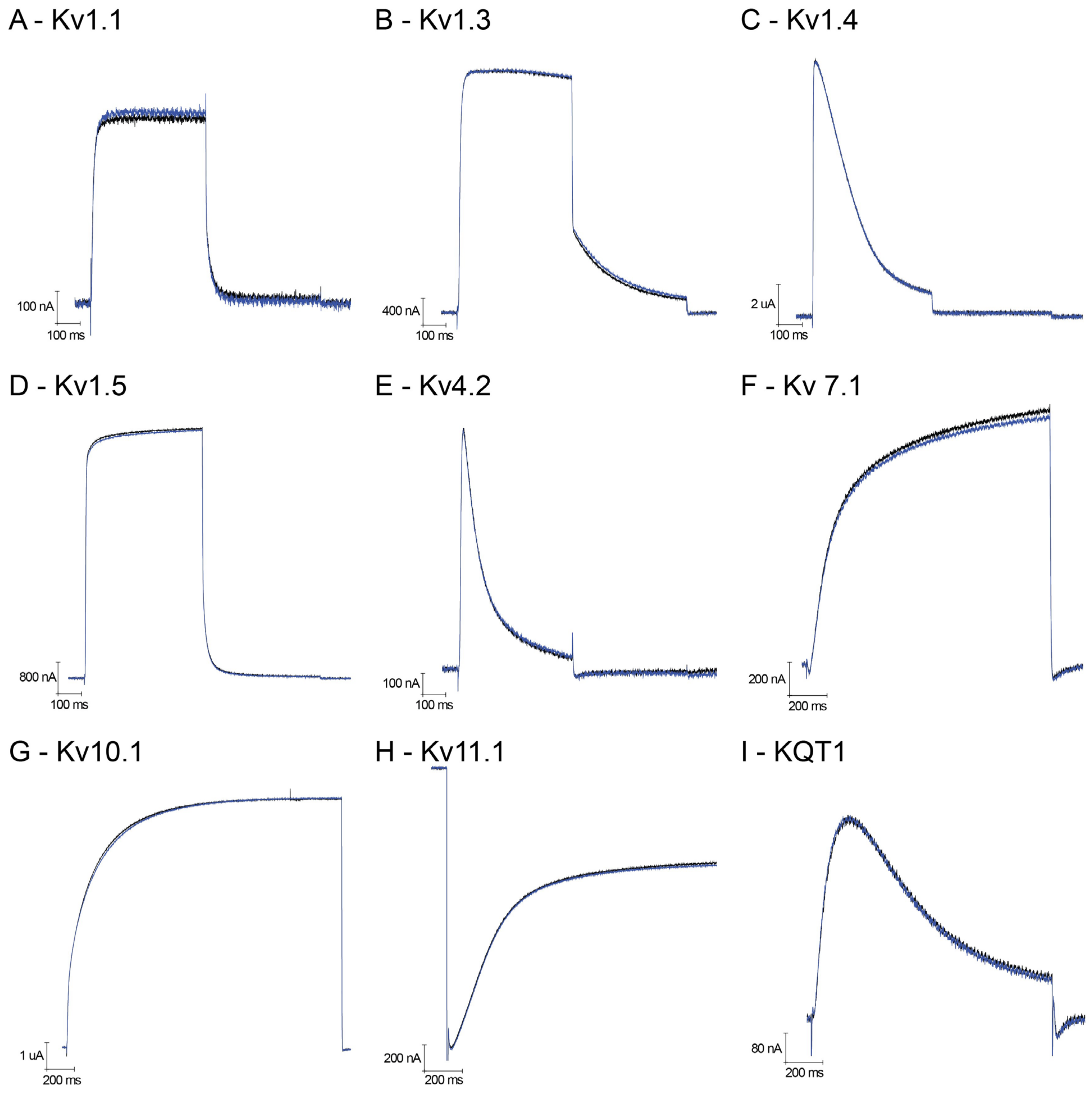 Membranes 14 00114 g002