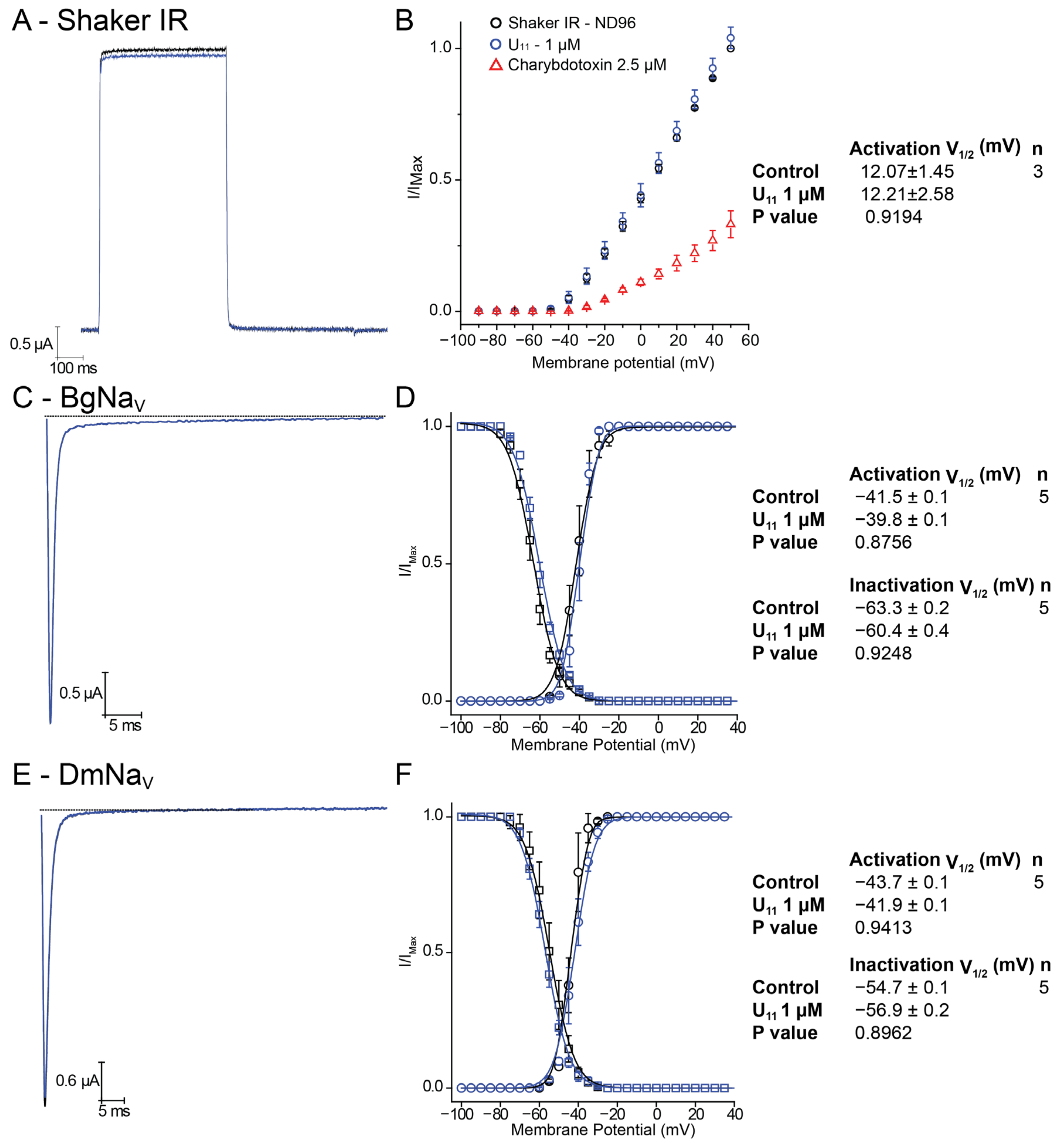 Membranes 14 00114 g003